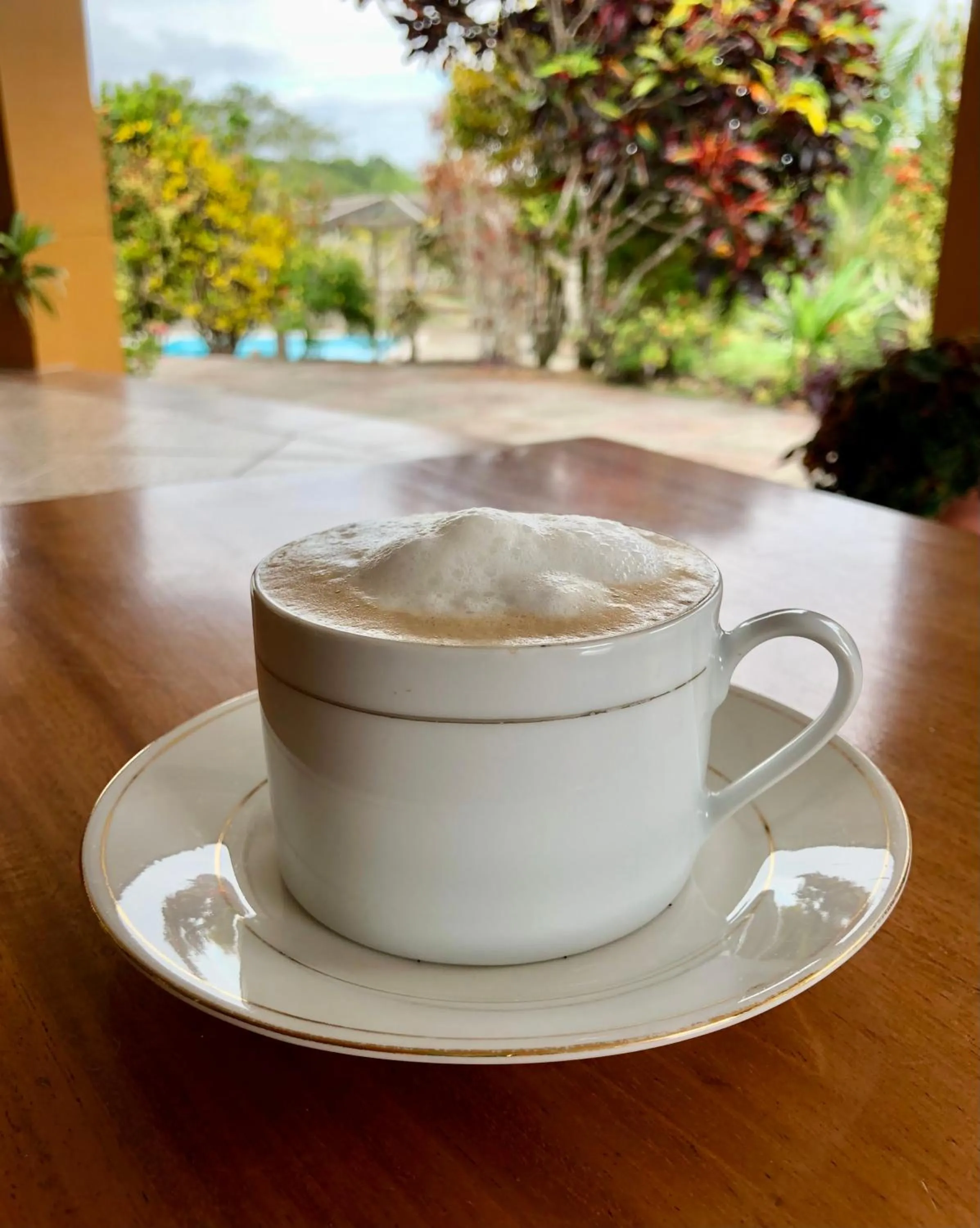 Restaurant/places to eat in Gumbo Limbo Jungle Resort