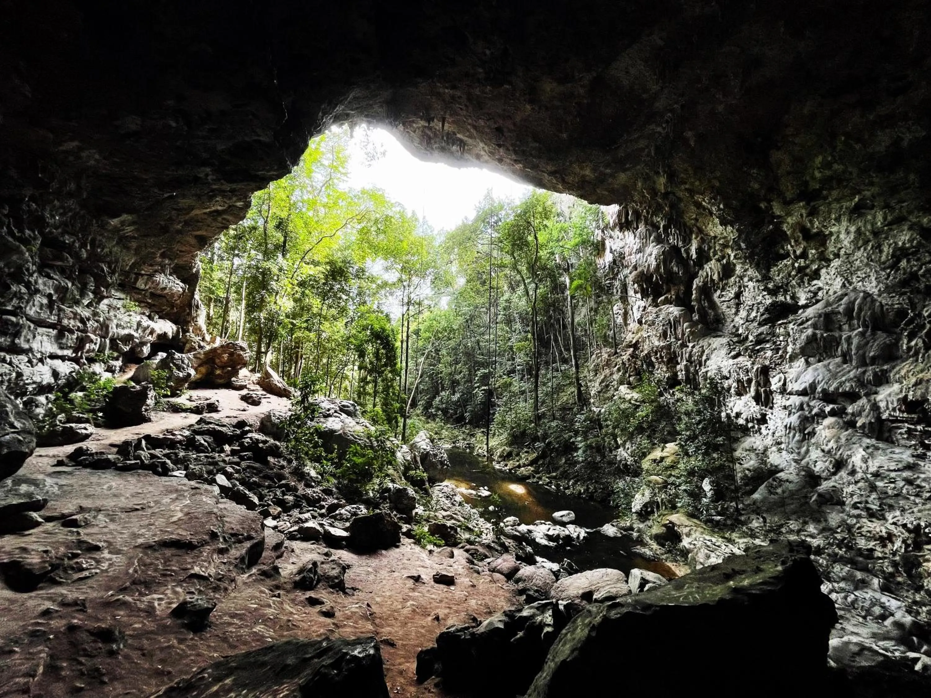 Activities in Gumbo Limbo Jungle Resort