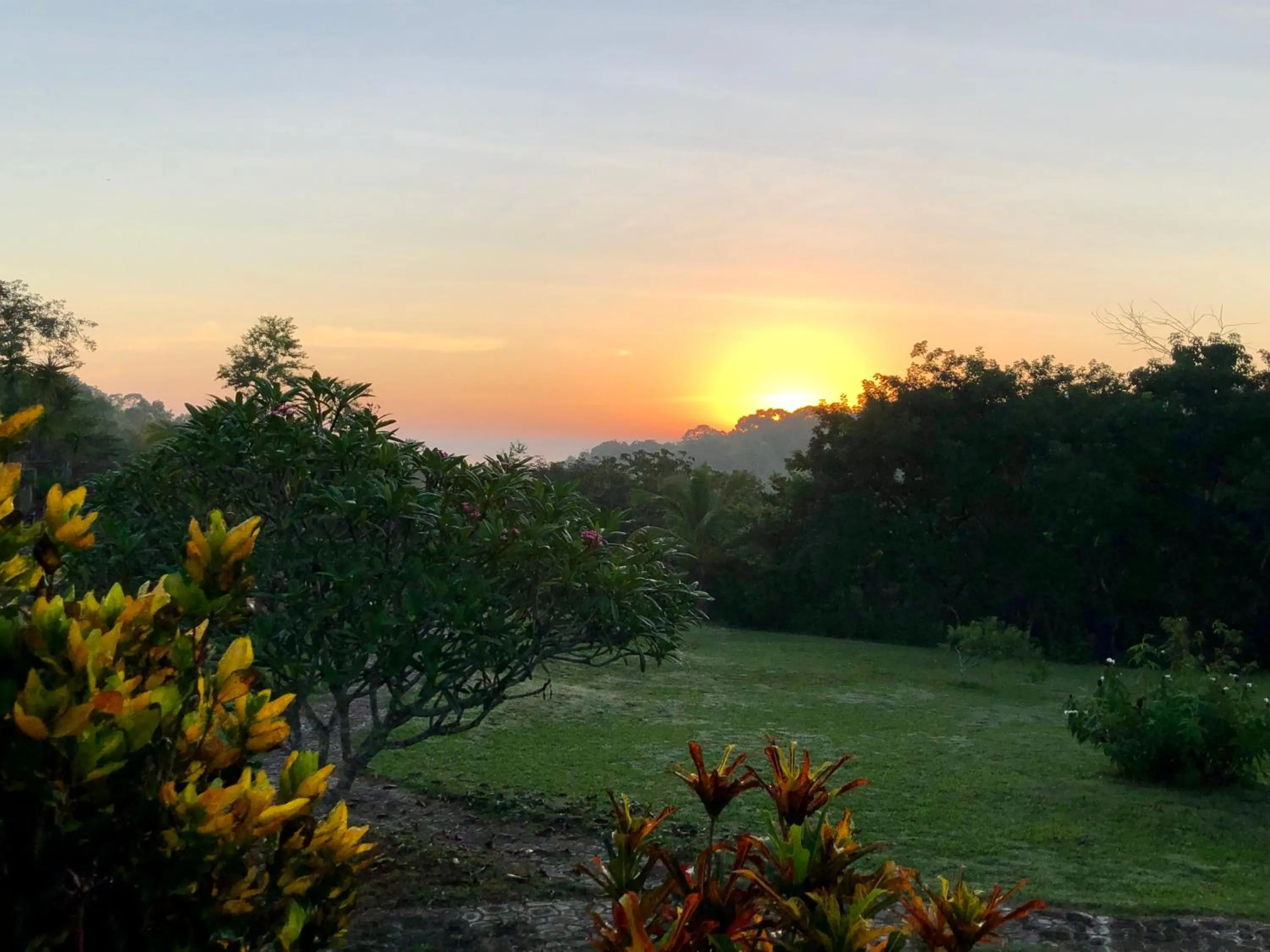Natural landscape in Gumbo Limbo Jungle Resort