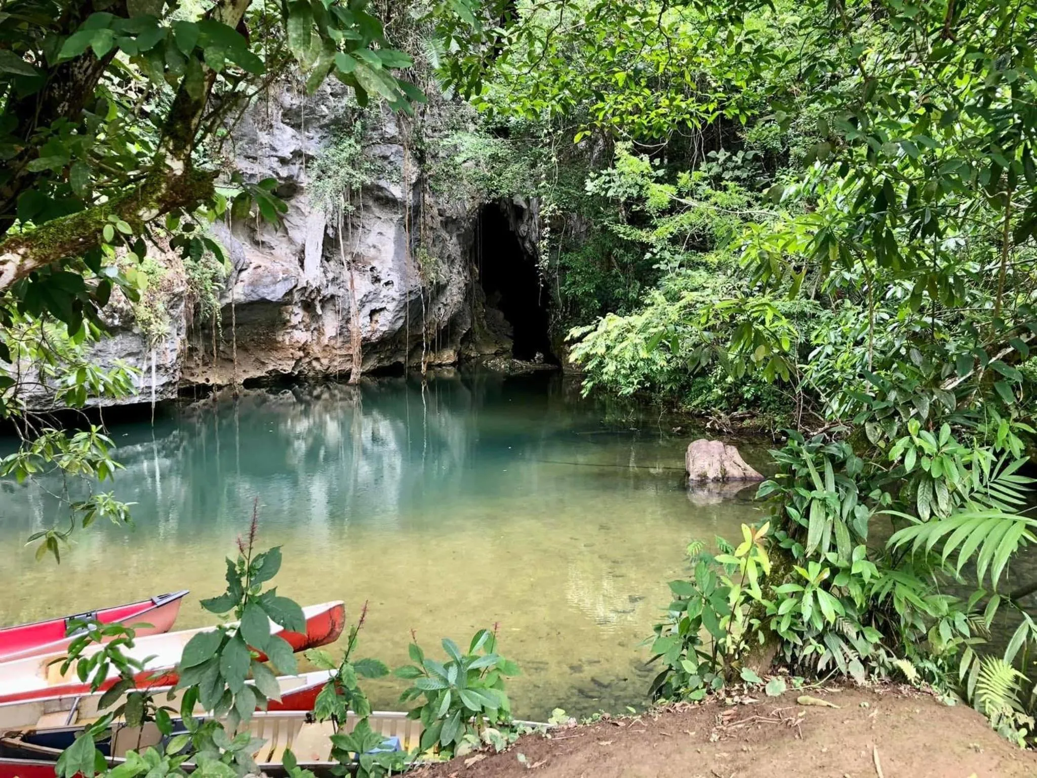 Nearby landmark in Gumbo Limbo Jungle Resort