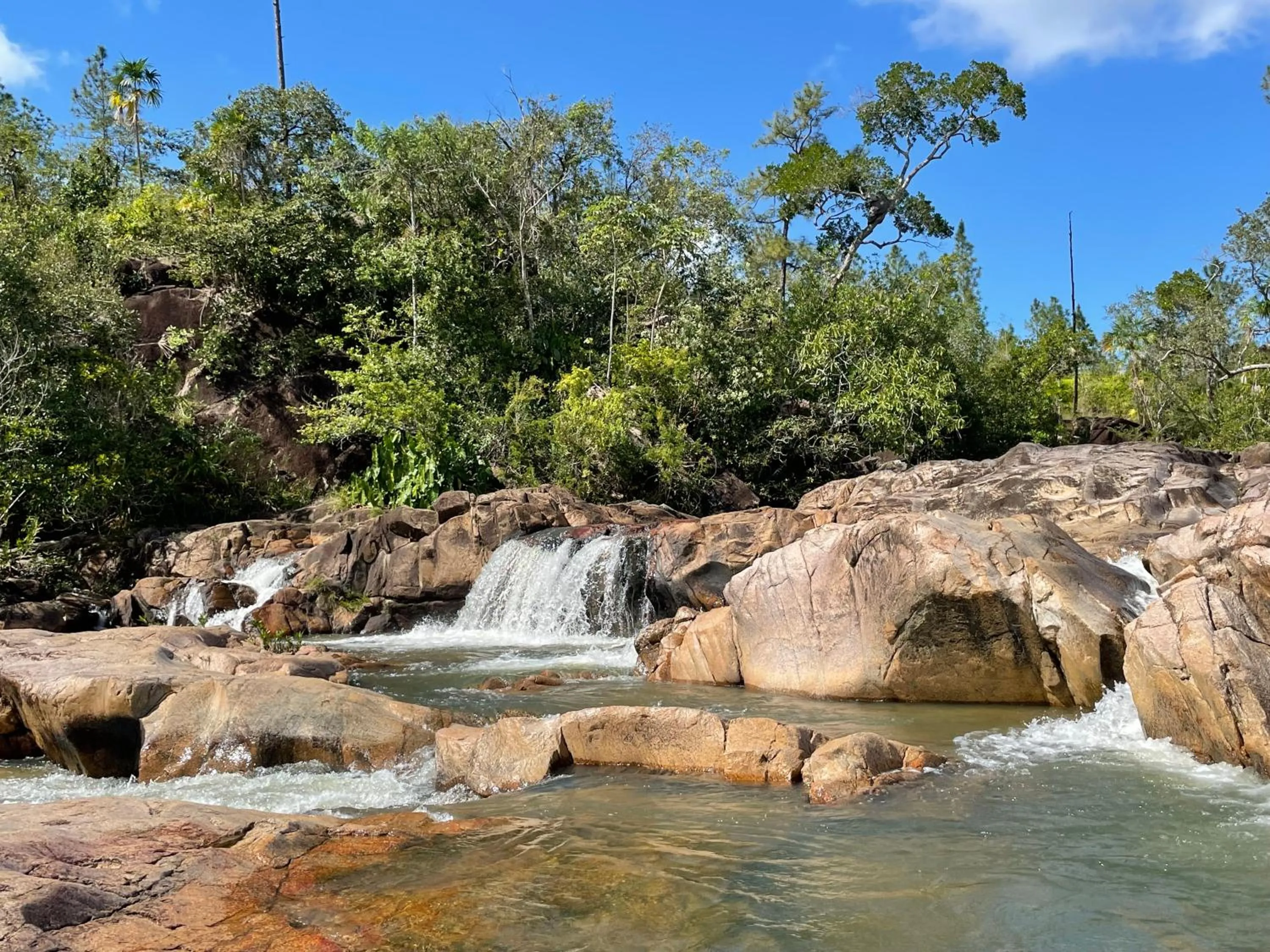 Activities in Gumbo Limbo Jungle Resort
