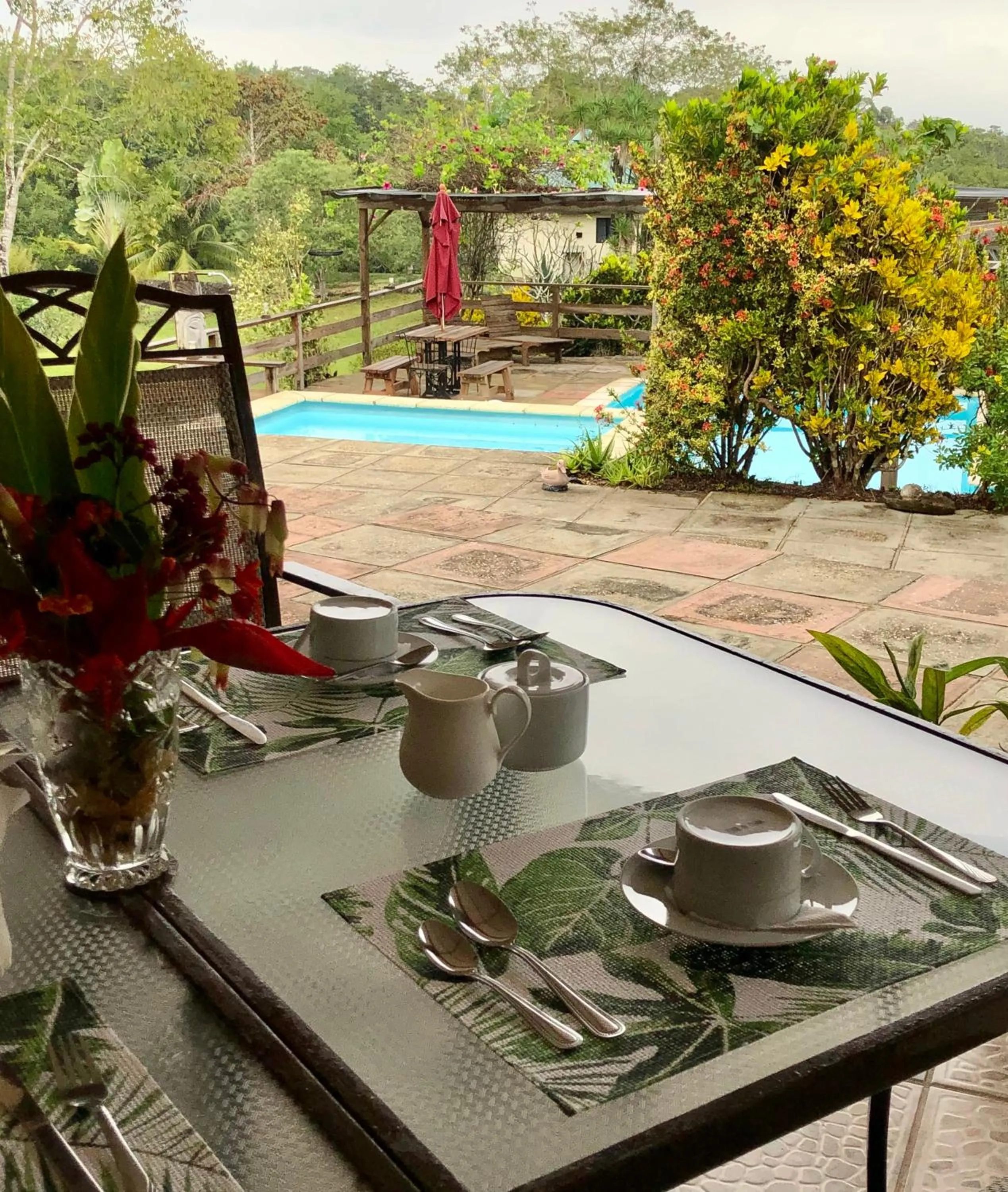 Restaurant/places to eat in Gumbo Limbo Jungle Resort