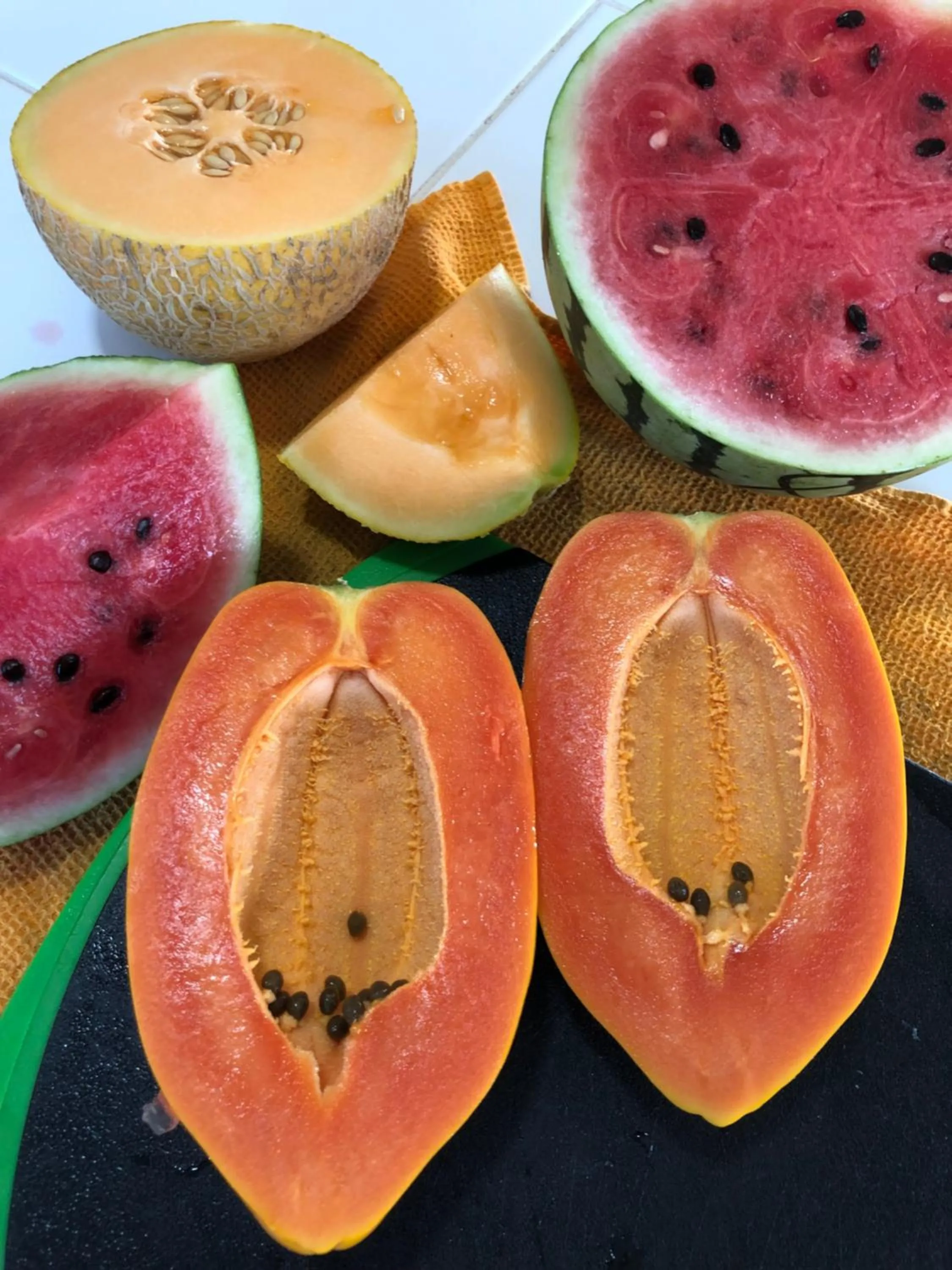 Food in Gumbo Limbo Jungle Resort