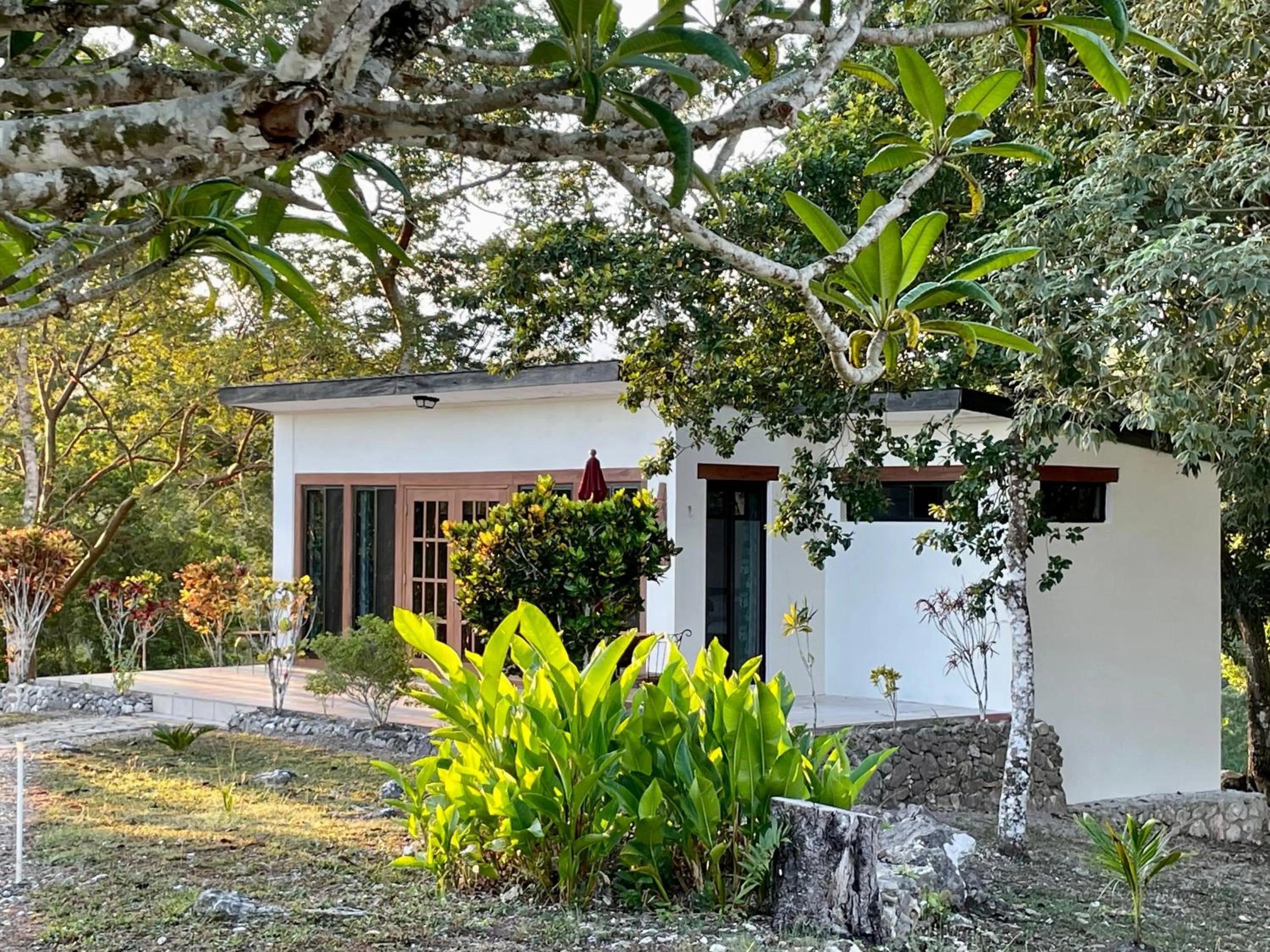 Property building in Gumbo Limbo Jungle Resort