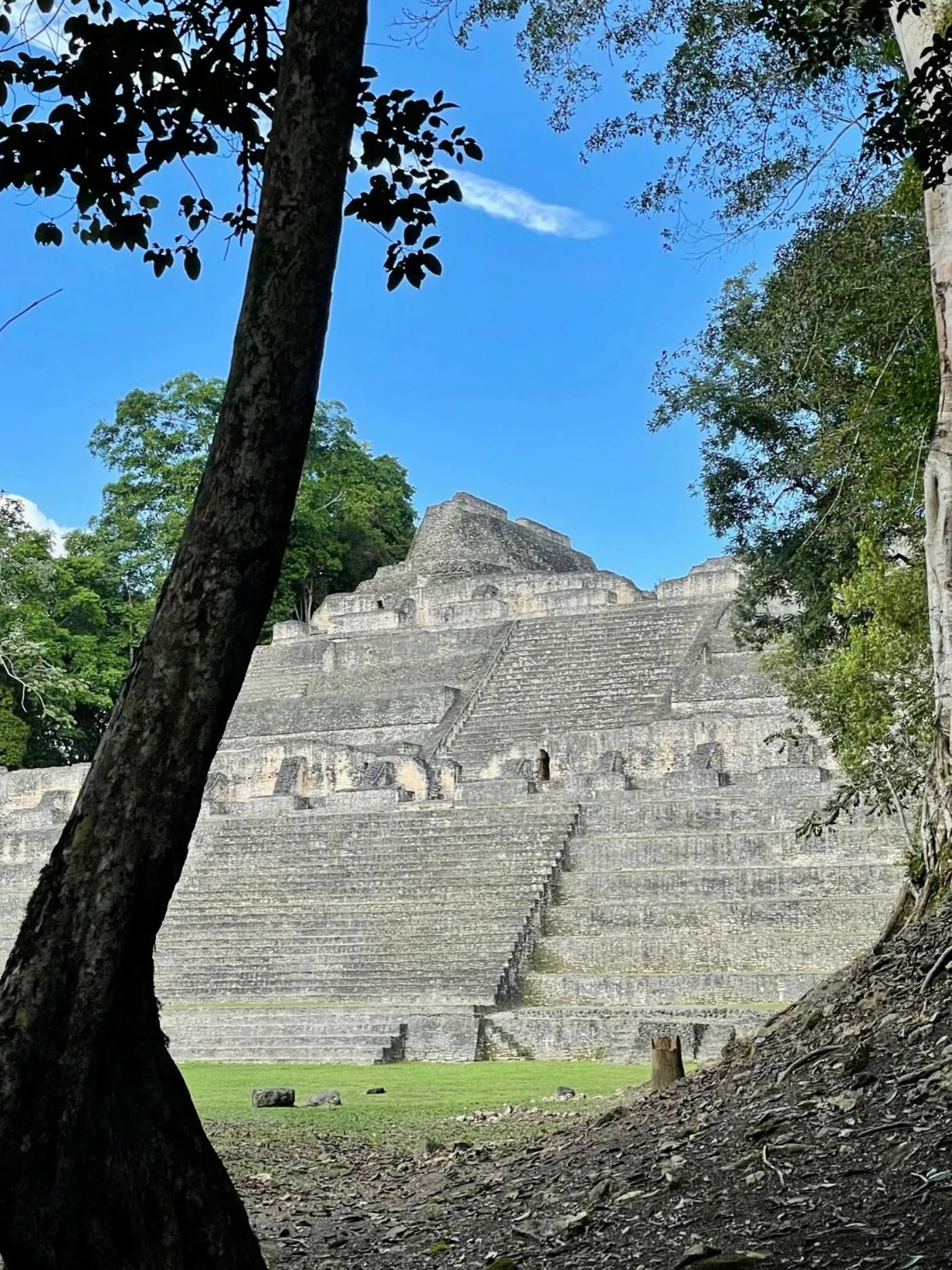 Nearby landmark in Gumbo Limbo Jungle Resort