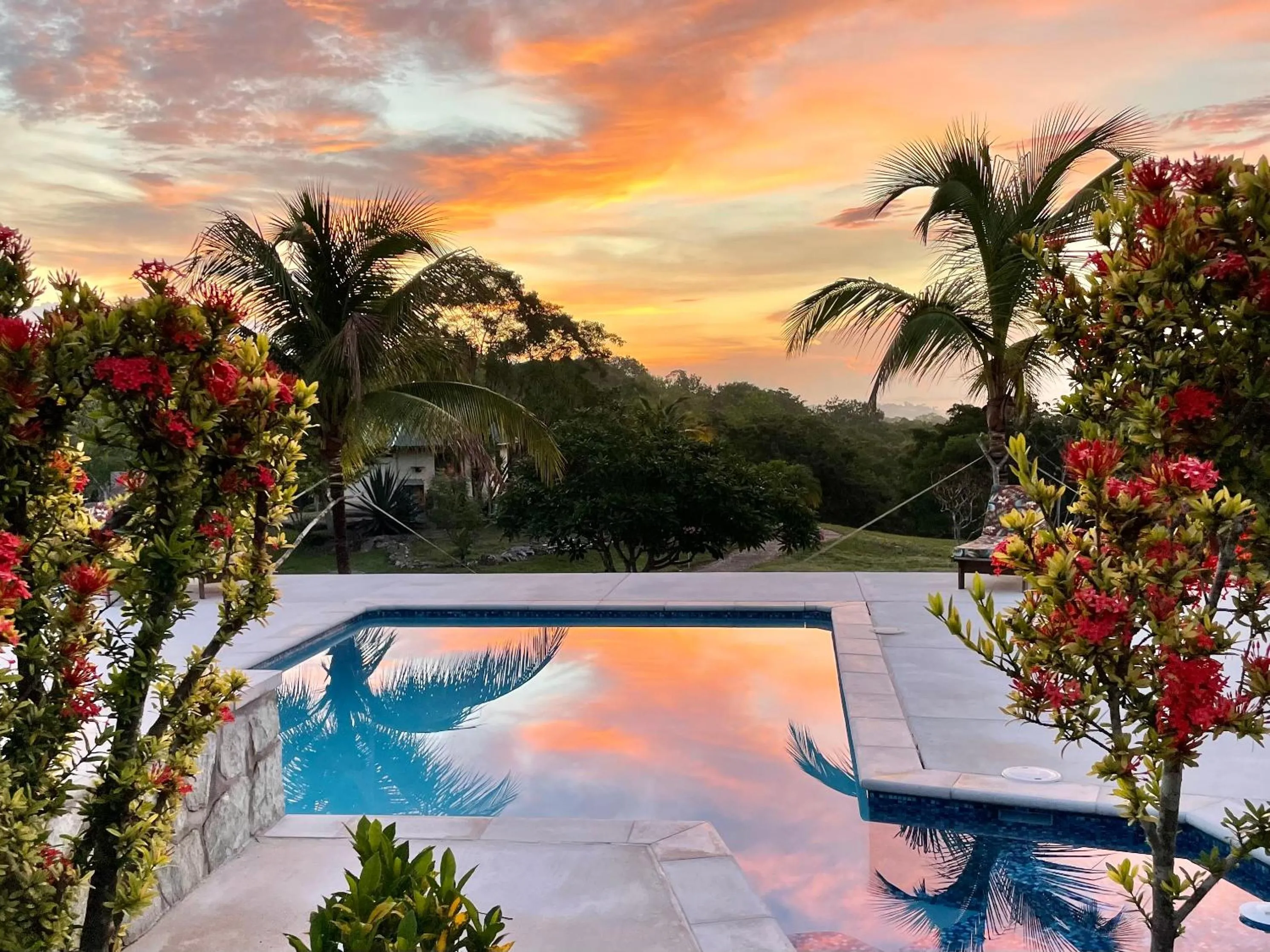 Swimming pool in Gumbo Limbo Jungle Resort