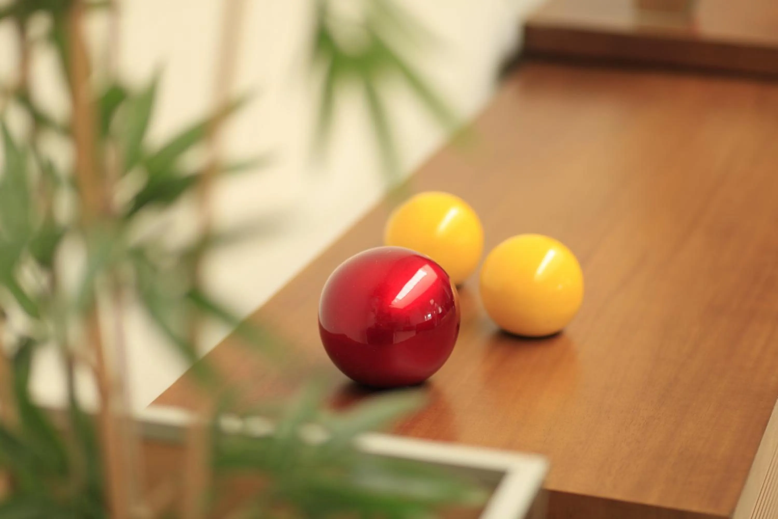 Decorative detail in Hotel Pouso Novo