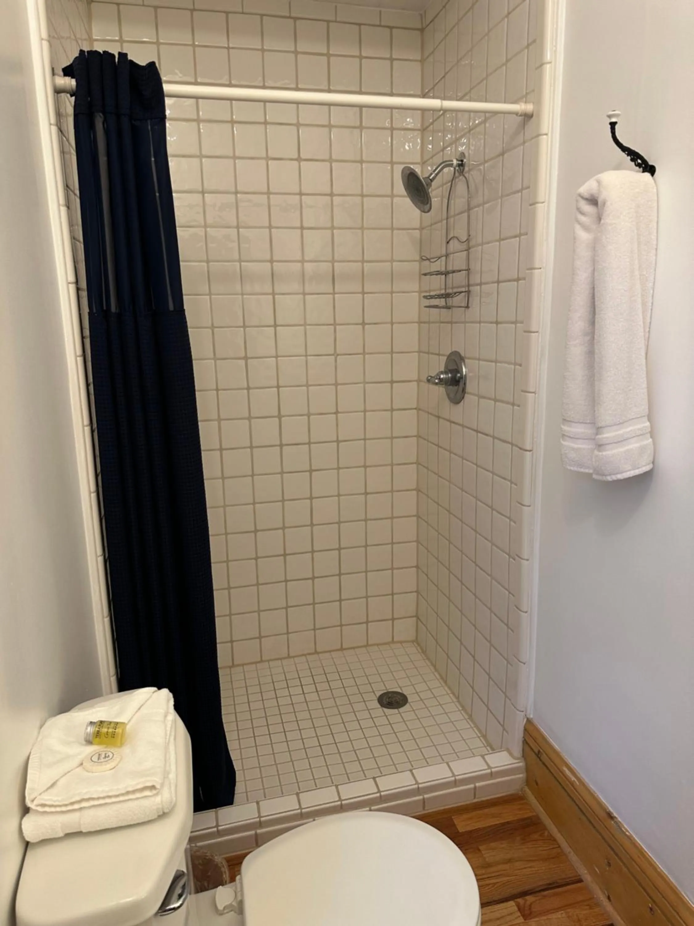 Shower in The Cottage at 241 North