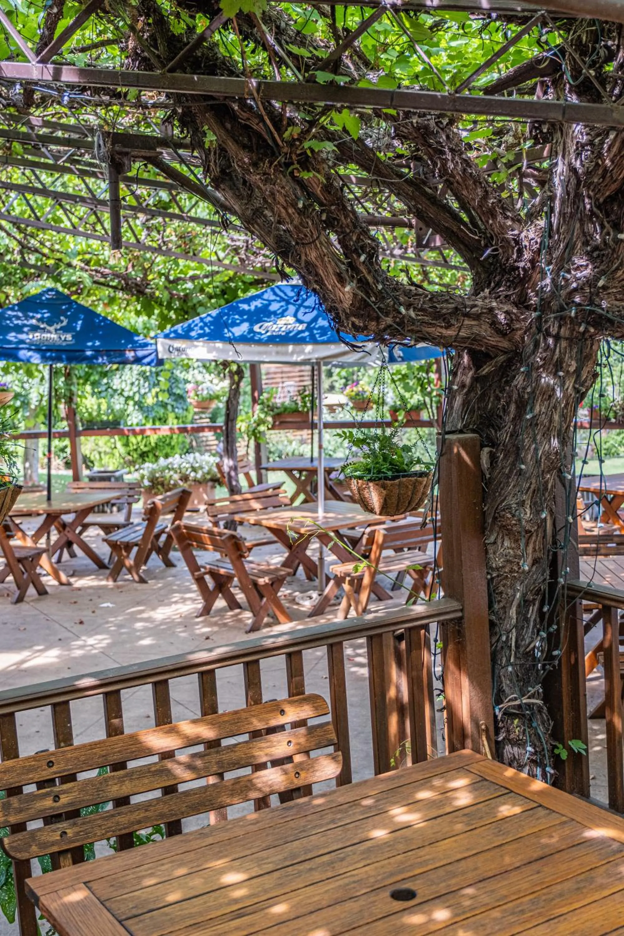 Restaurant/places to eat in Peel Inn Hotel Nundle