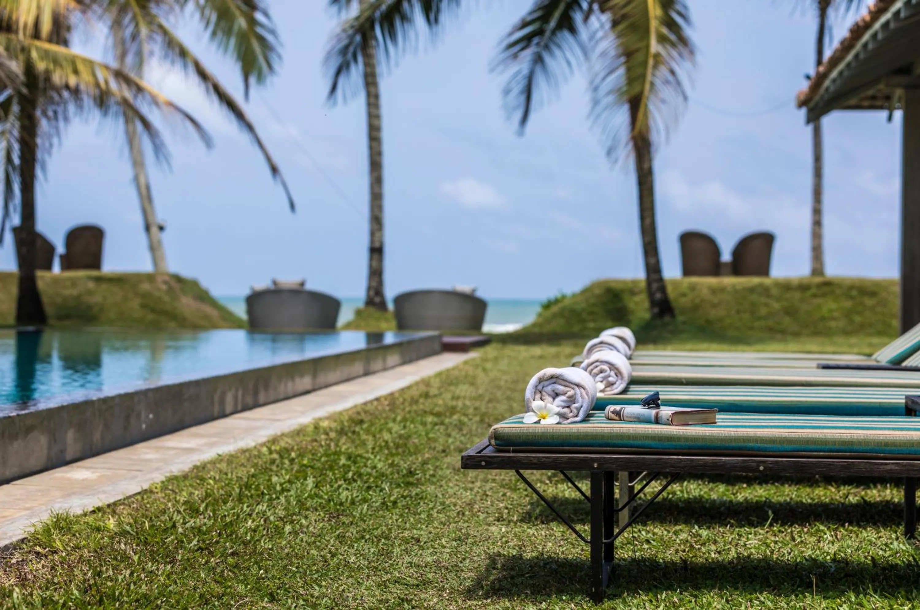 Garden in The Frangipani Tree by Edwards Collection - Thalpe