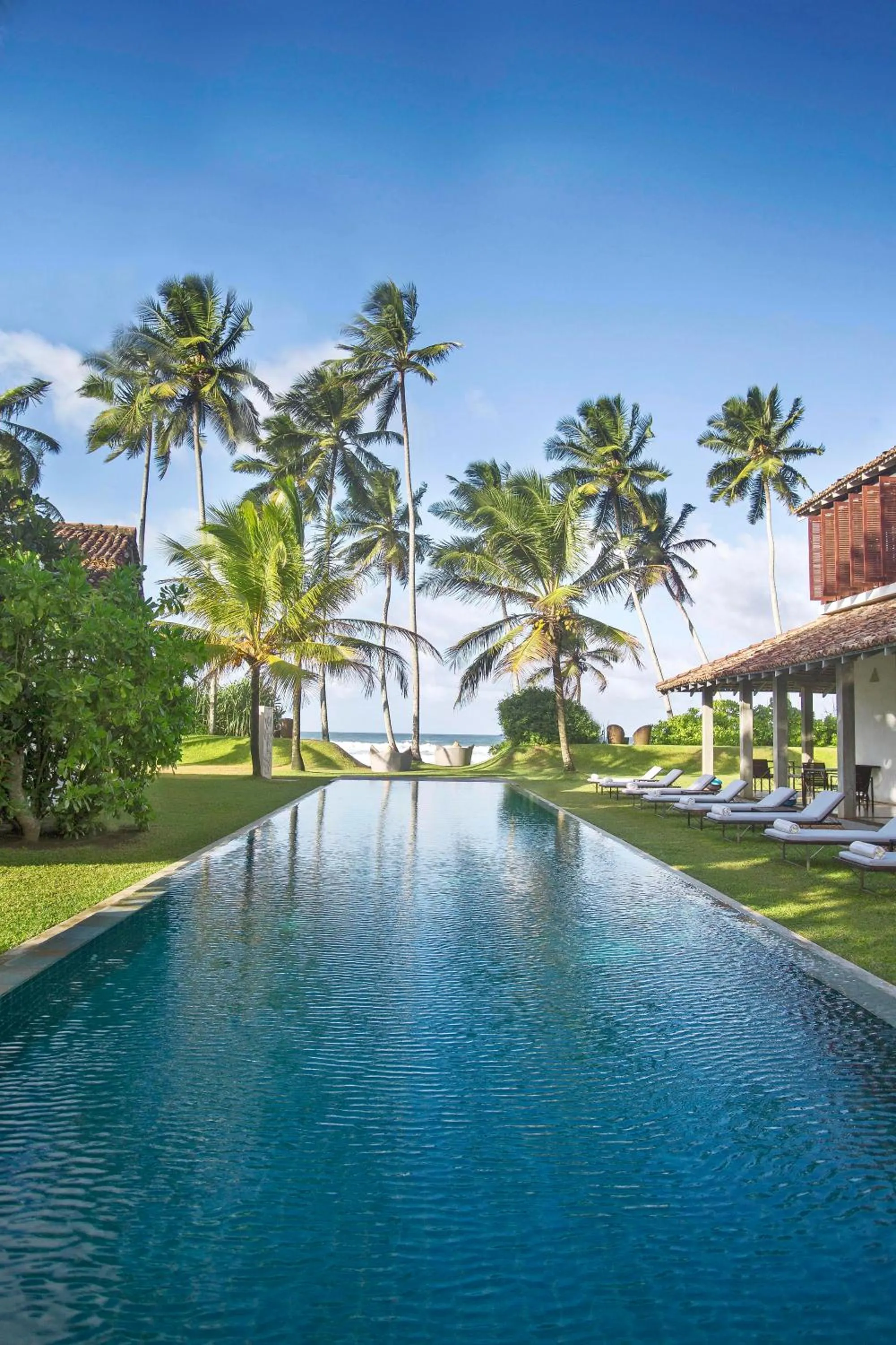 The Frangipani Tree by Edwards Collection - Thalpe