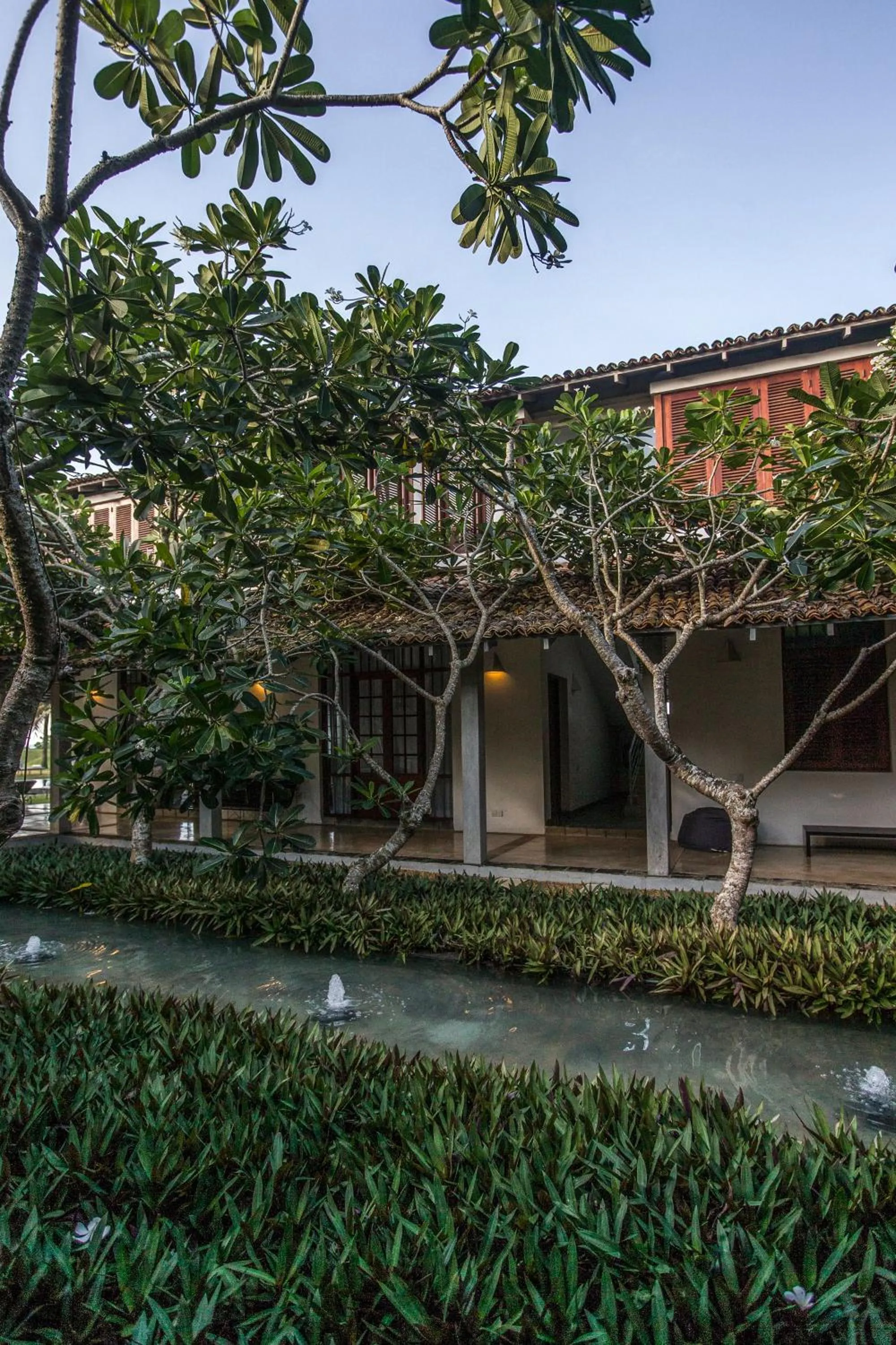 Garden in The Frangipani Tree by Edwards Collection - Thalpe