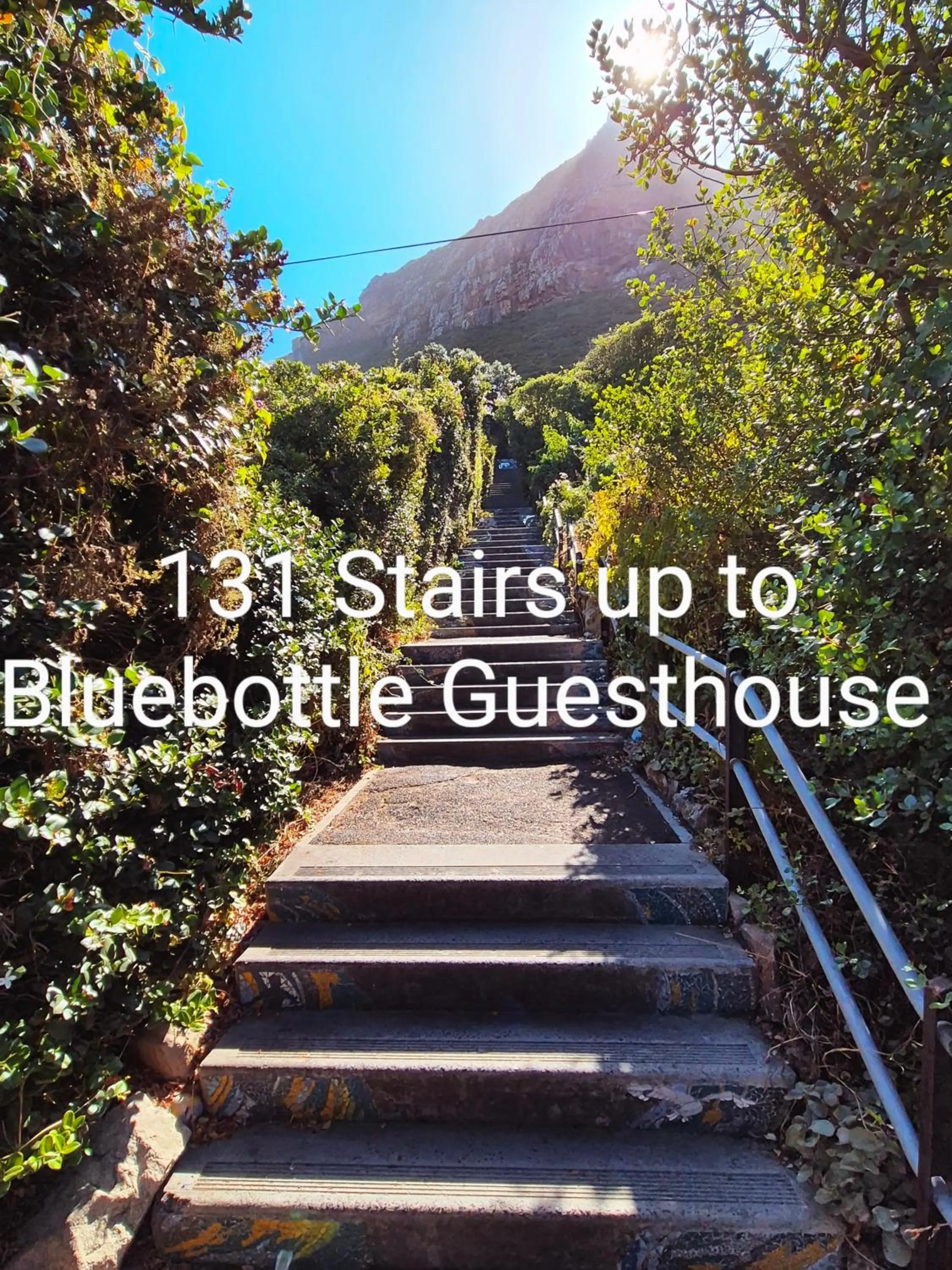 Natural landscape in Bluebottle Guesthouse