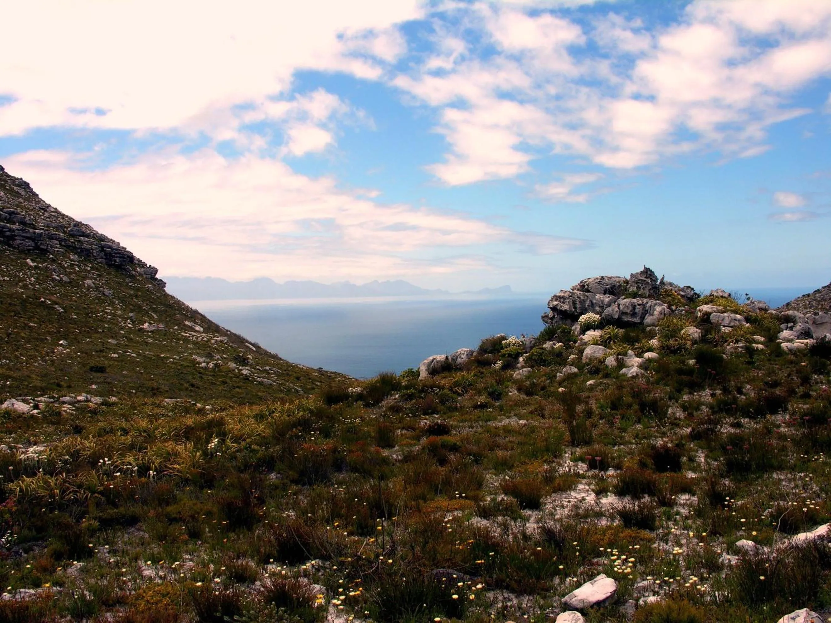 Natural landscape in Bluebottle Guesthouse