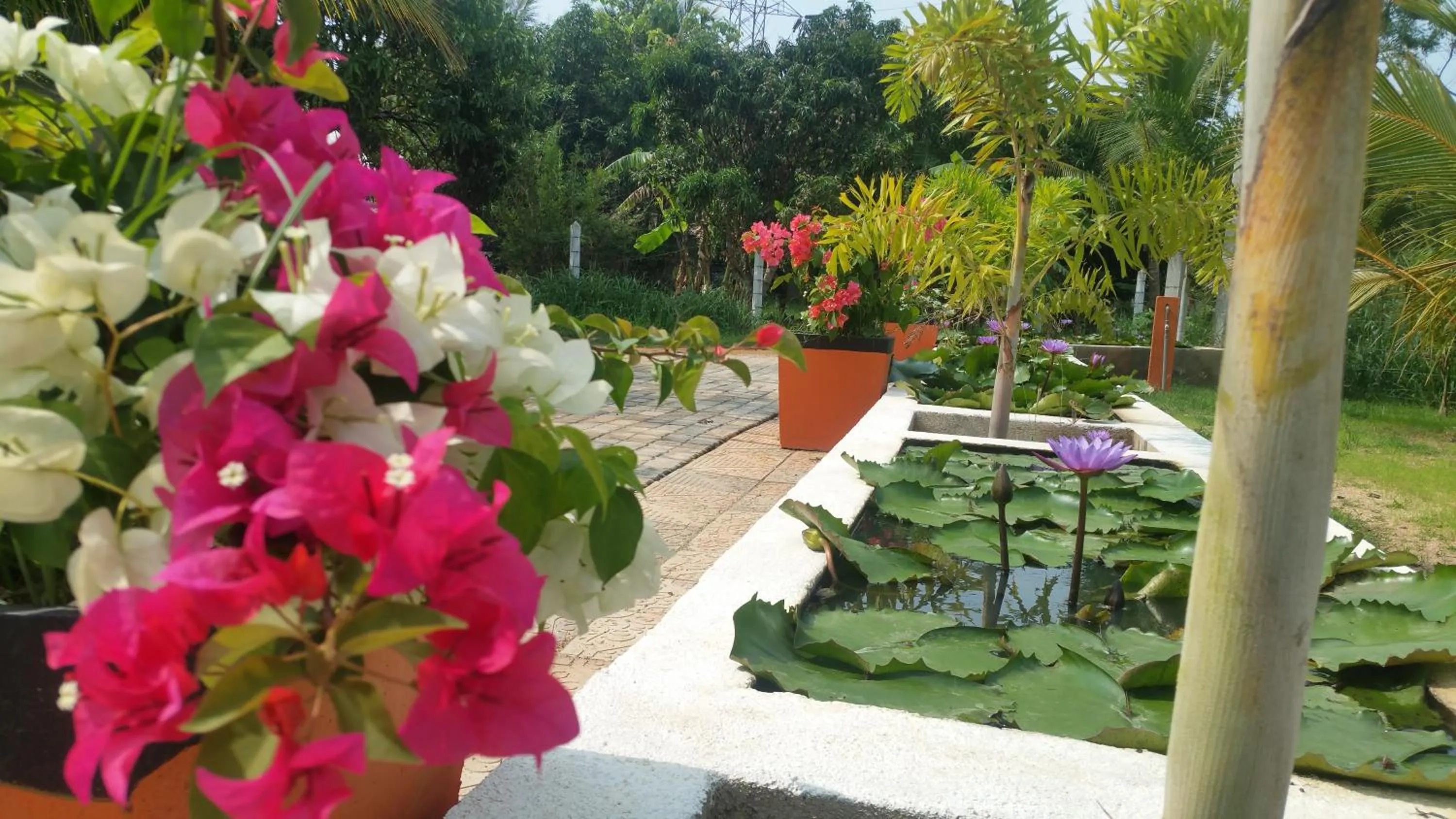 Day in Miheen Hotel & Resort - Anuradhapura