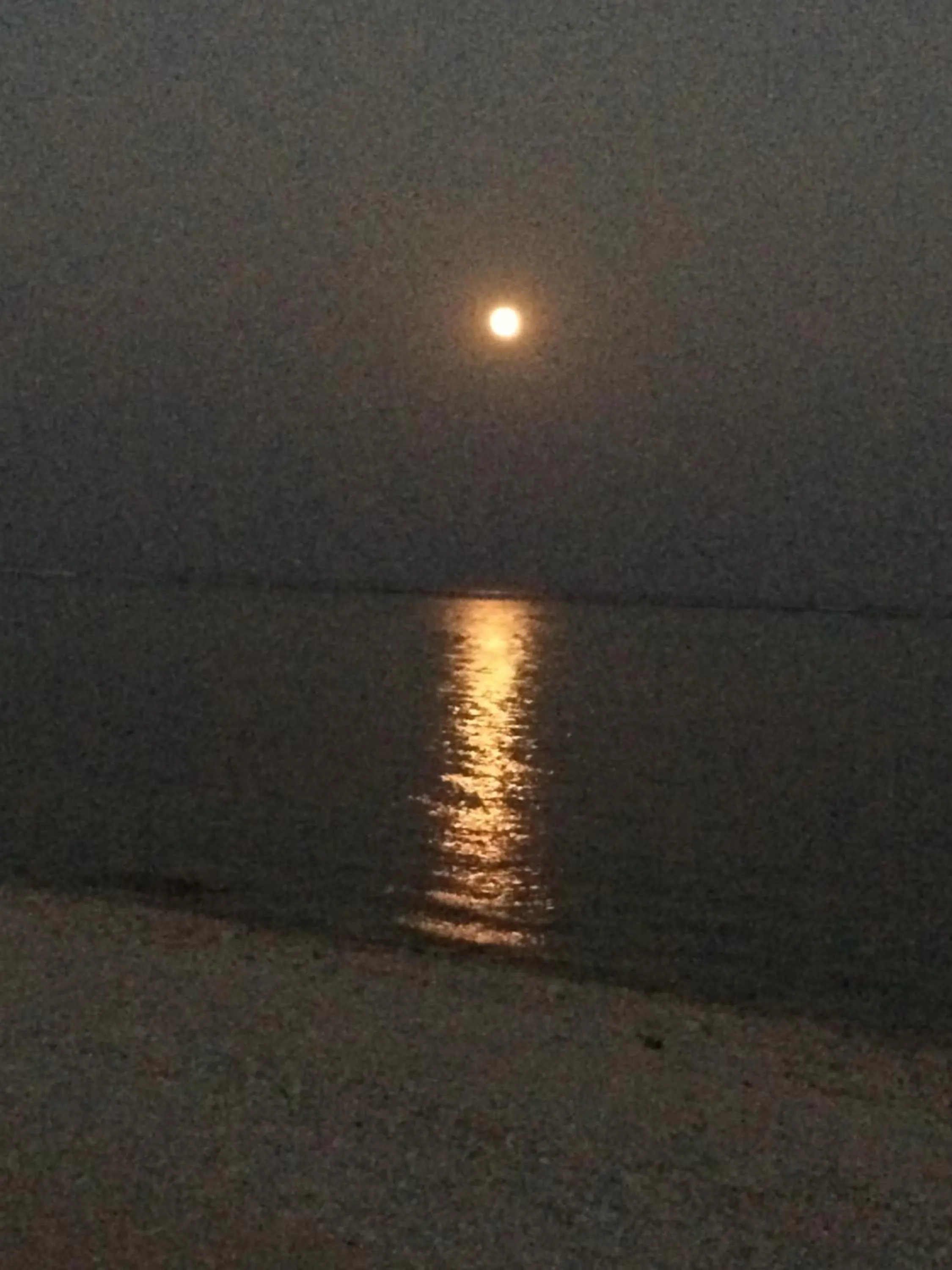 Night in Minshuku Irayoi