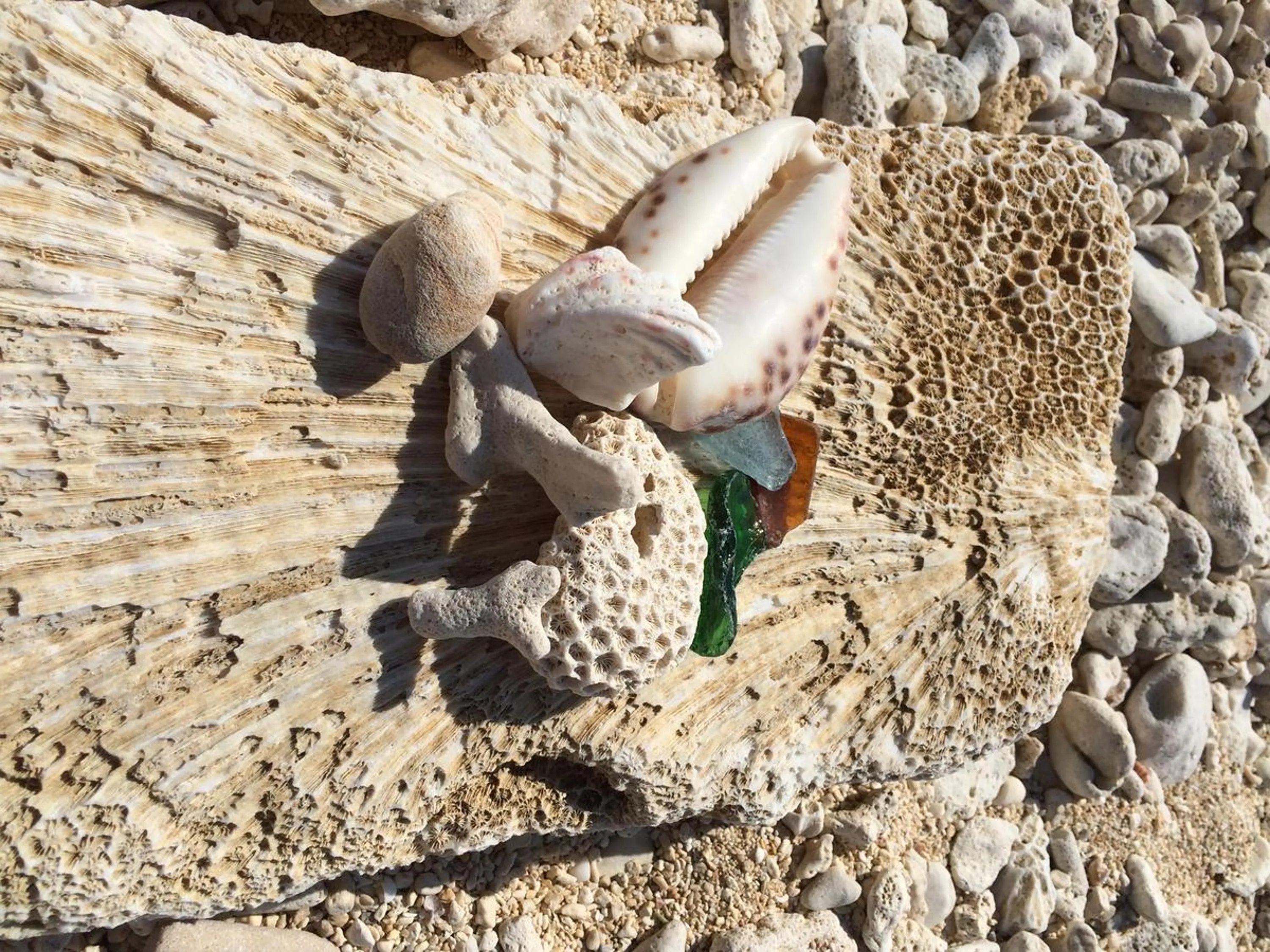 Other in Minshuku Irayoi