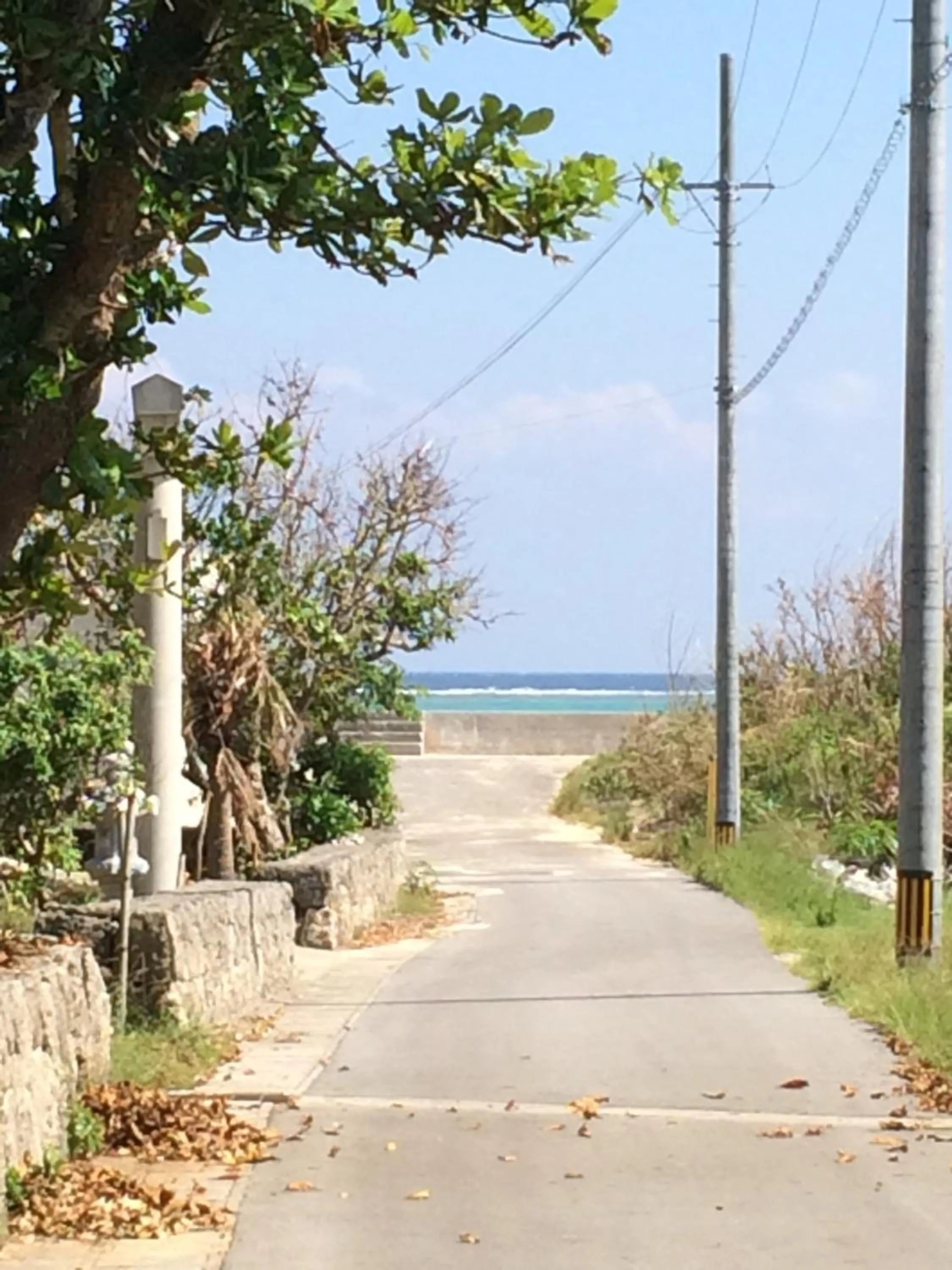 Day in Minshuku Irayoi