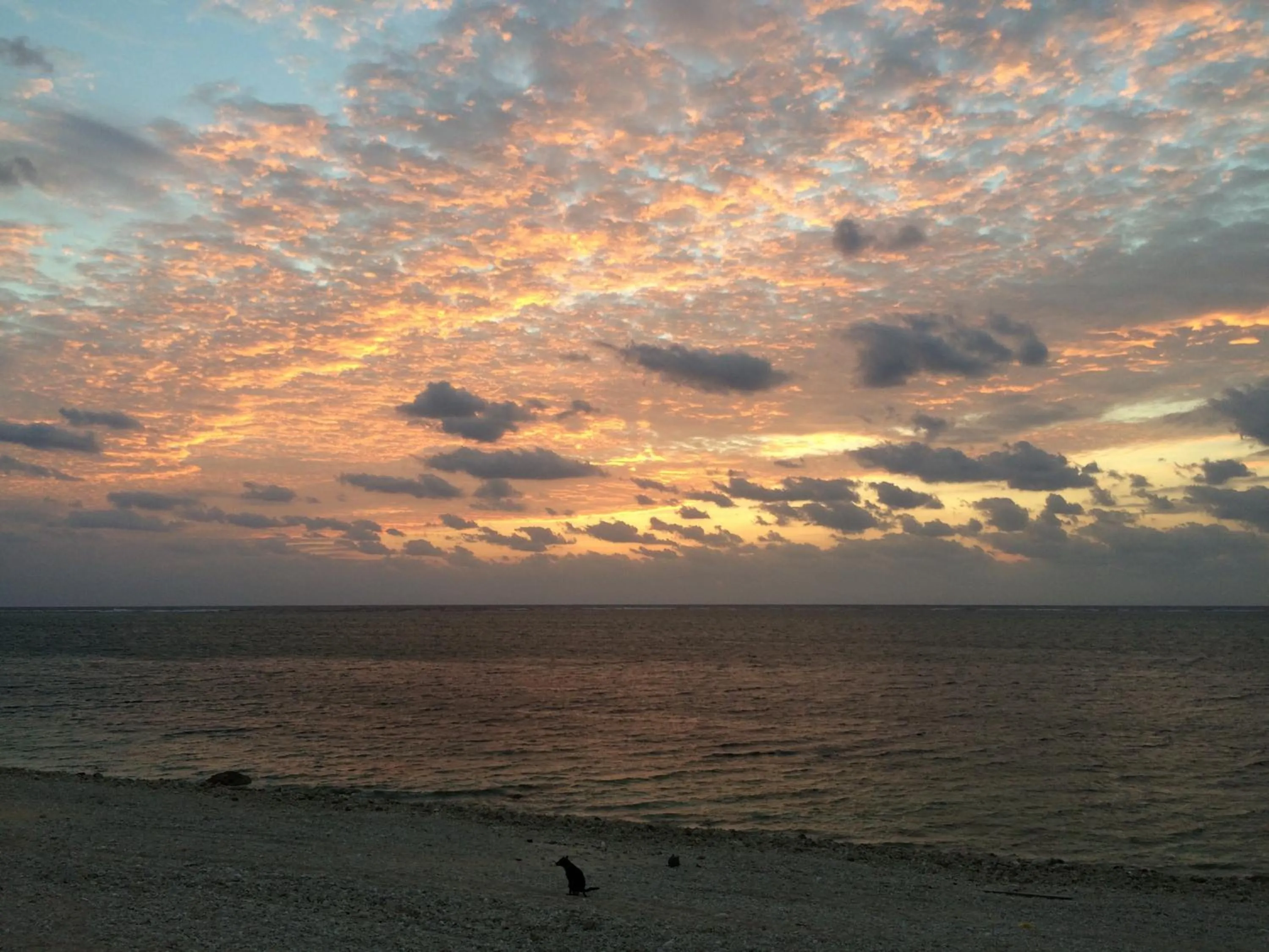 Beach in Minshuku Irayoi