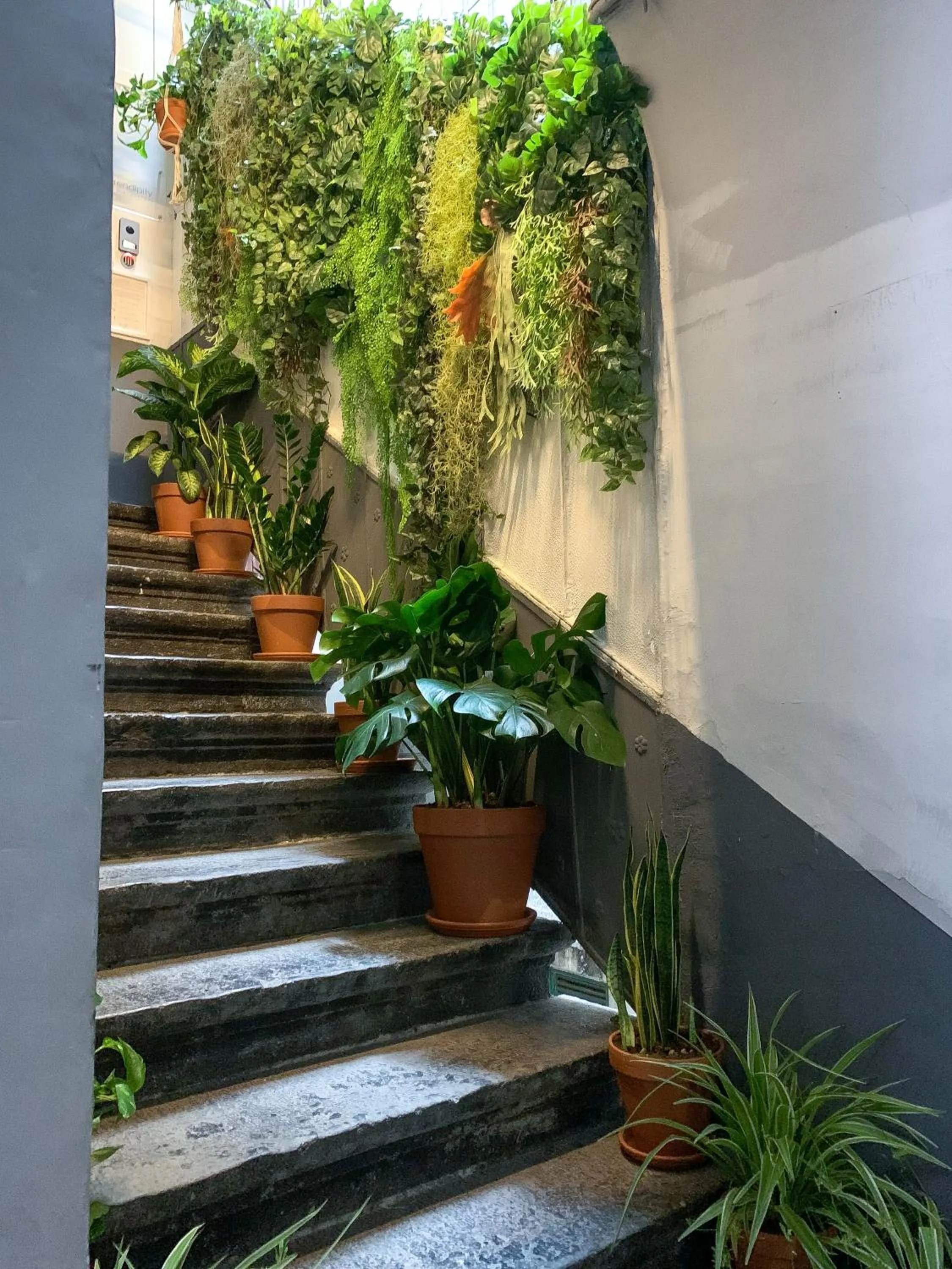 Property building in Serendipity