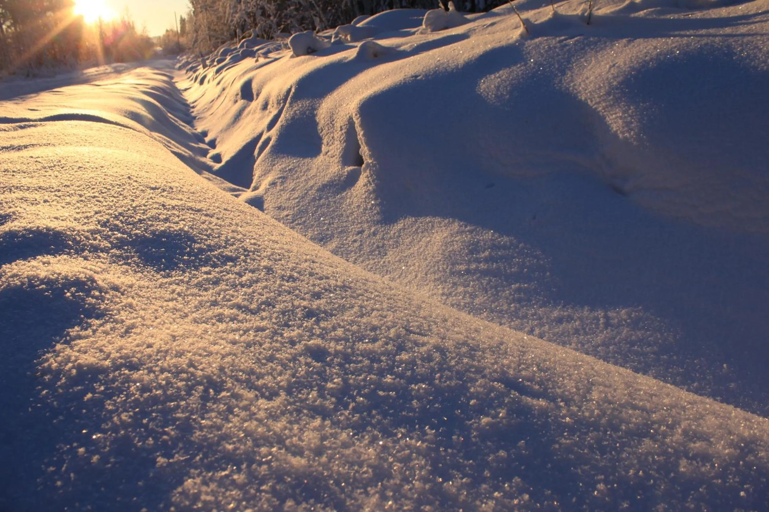 Natural landscape in Beana Laponia - Wilderness boutique hotel with safaris