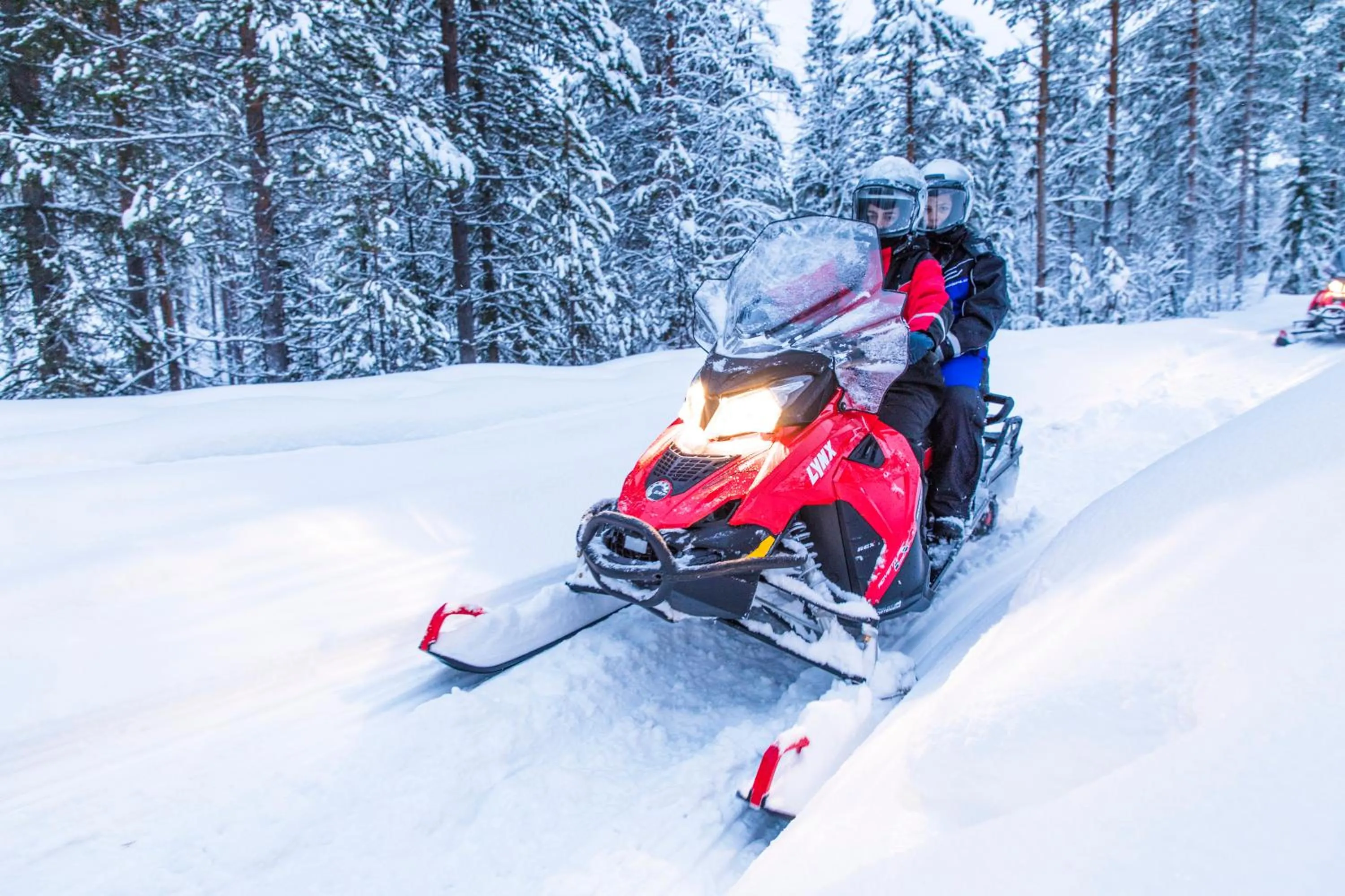 Activities in Beana Laponia - Wilderness boutique hotel with safaris