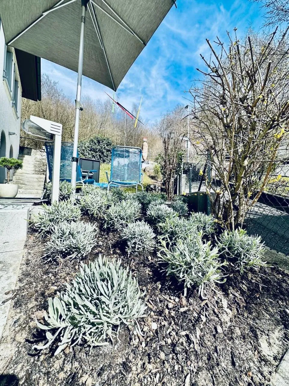 Garden in Bed Bike and Breakfast Olten