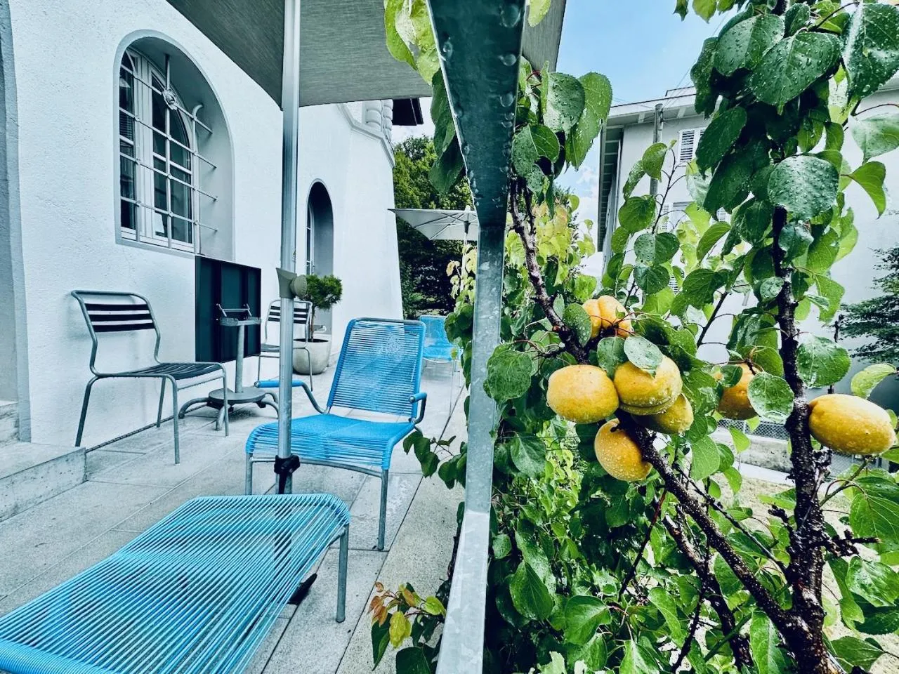 Spring in Bed Bike and Breakfast Olten