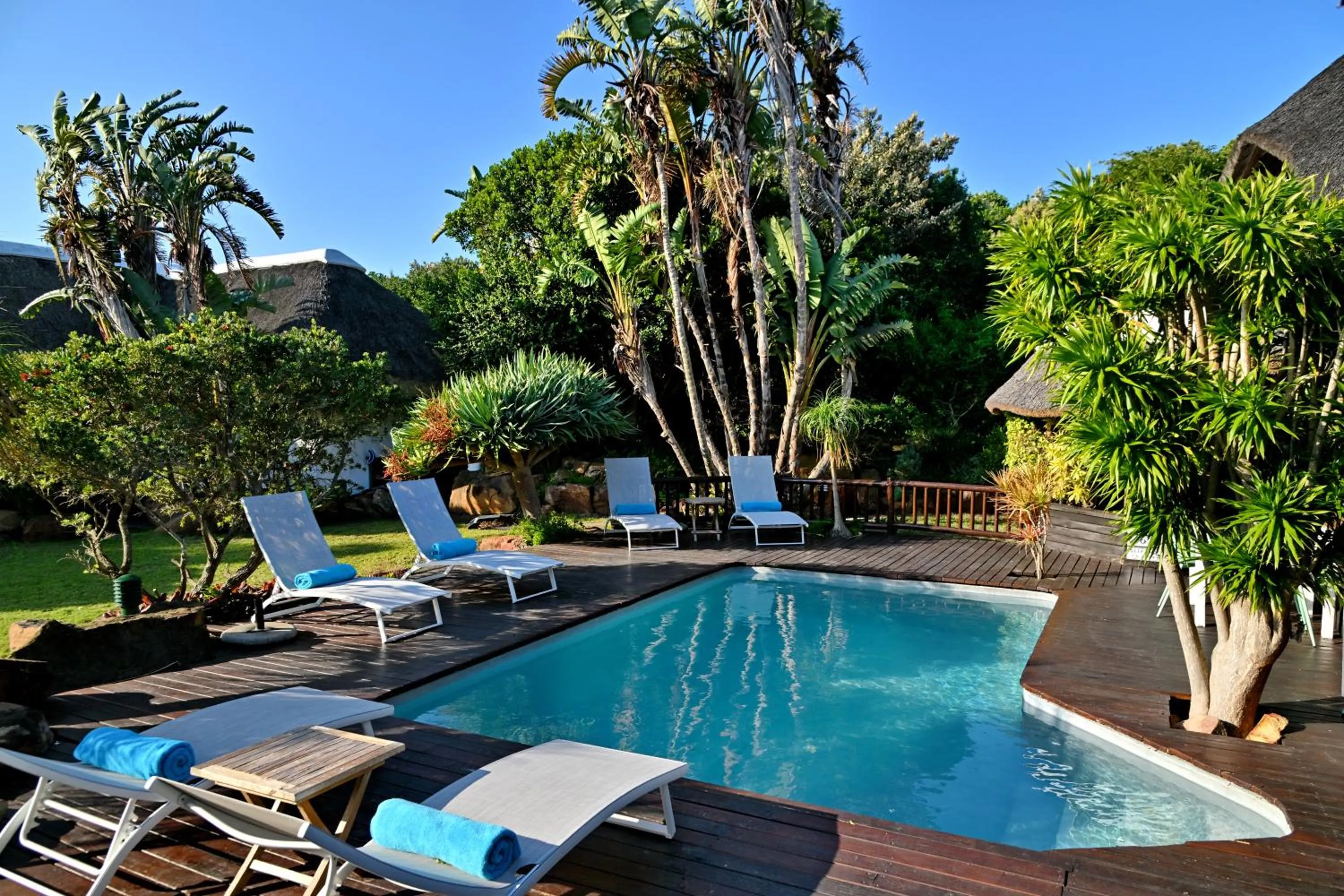 Swimming pool in BonBini Guest House