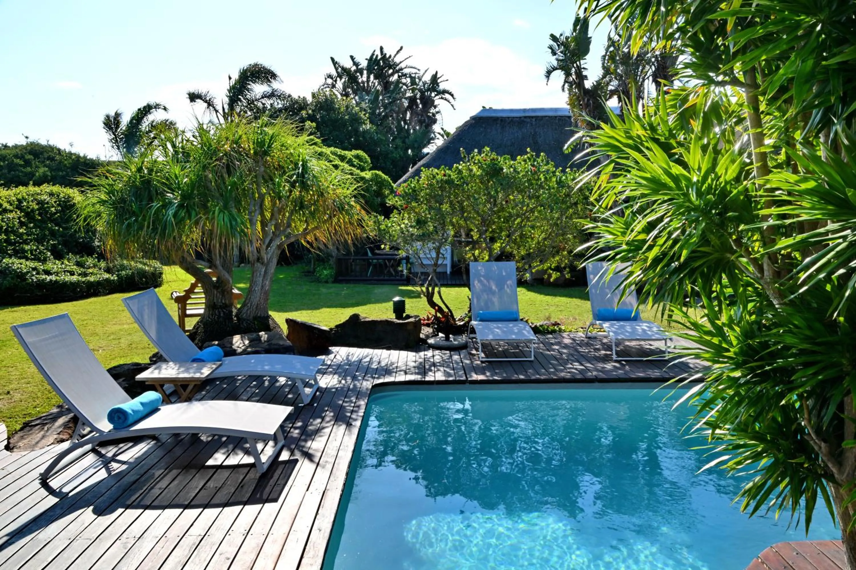 Swimming pool in BonBini Guest House