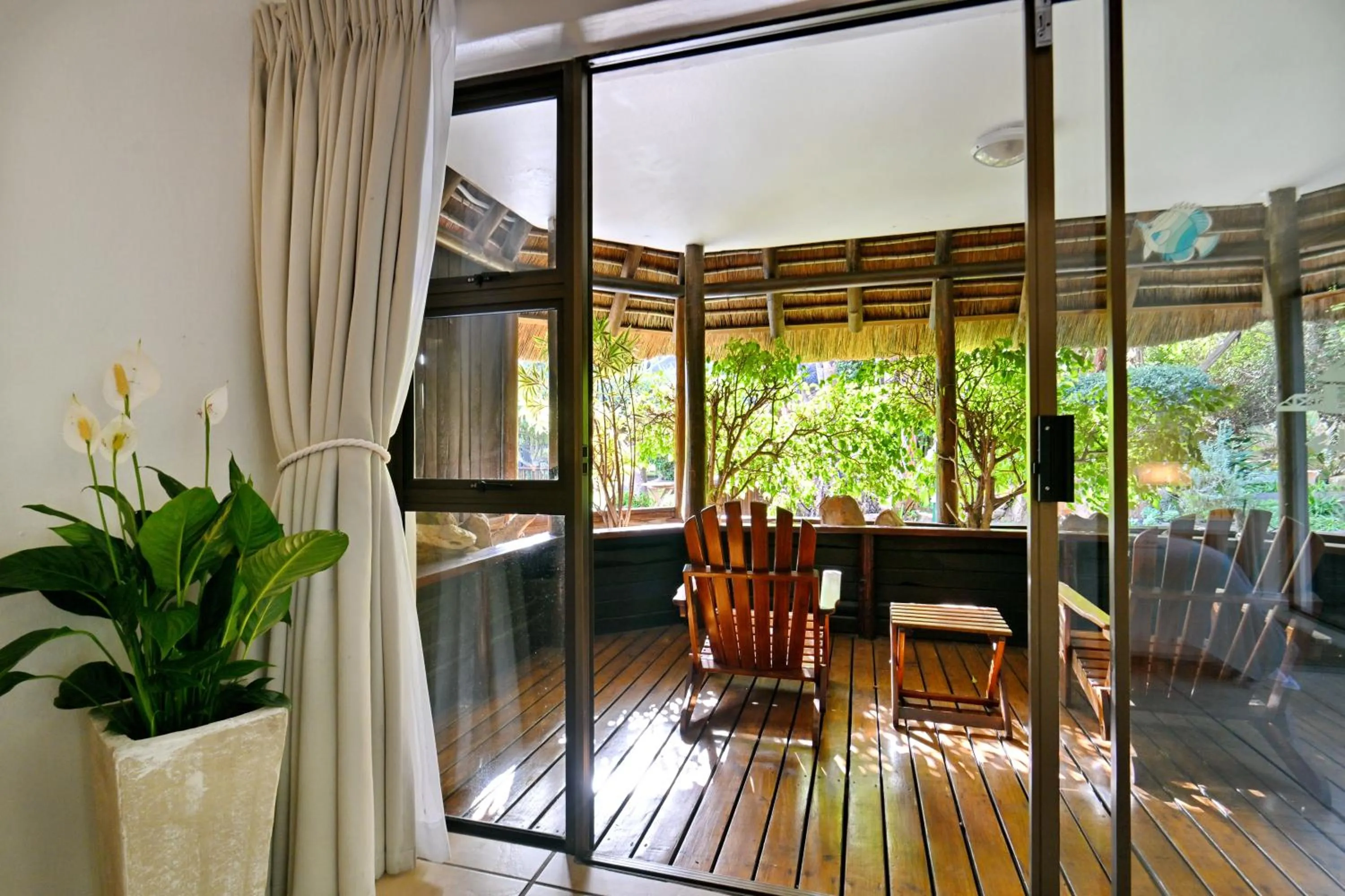 Garden in BonBini Guest House