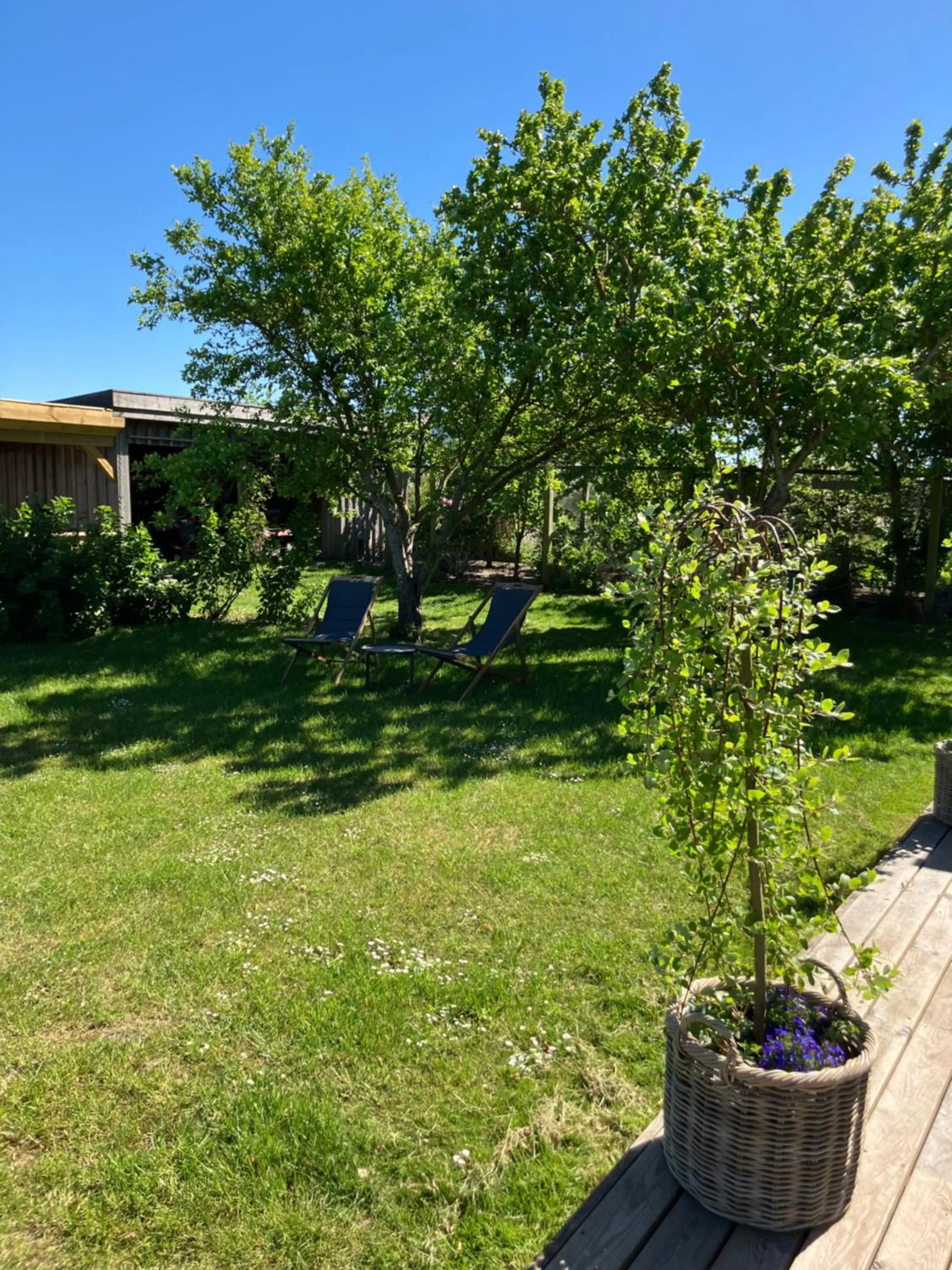 Marielyst B&B - Apartments