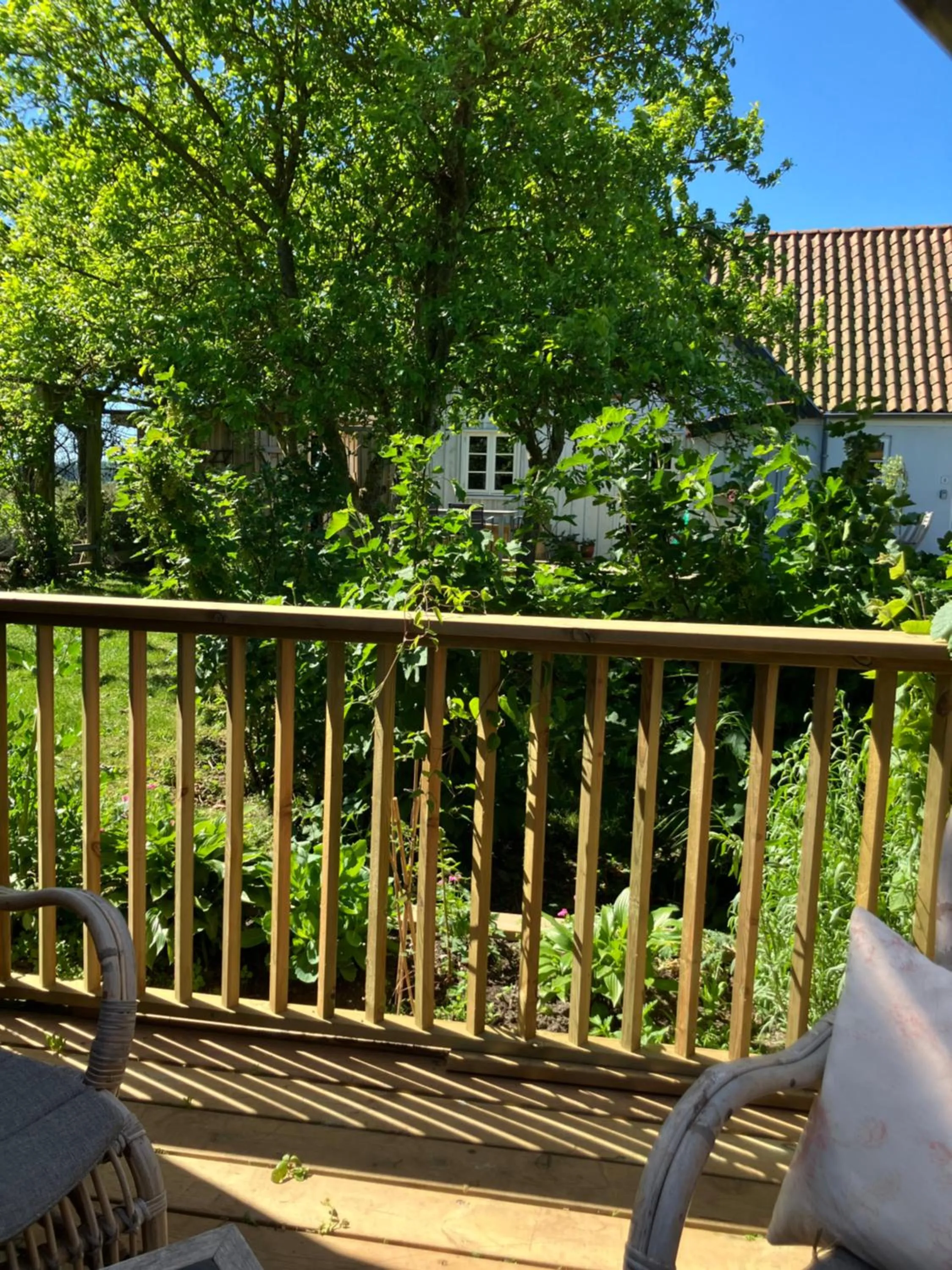 Marielyst B&B - Apartments