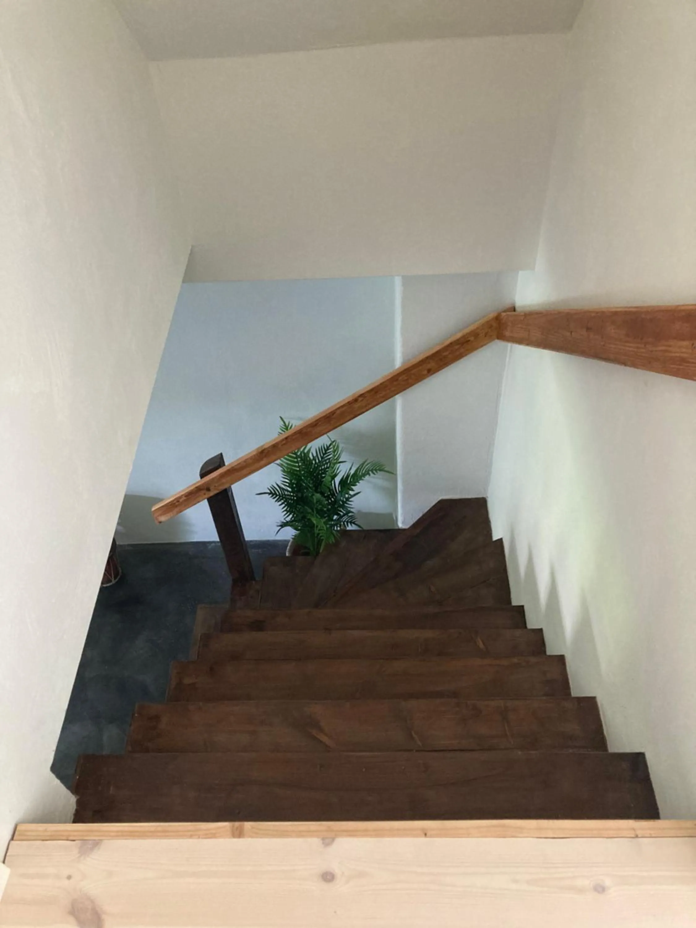 Marielyst B&B - Apartments