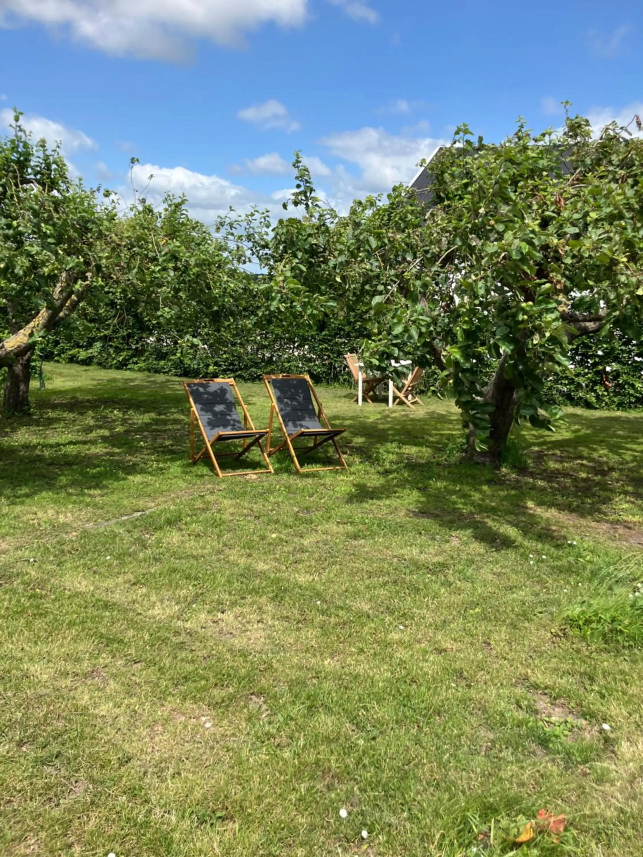 Marielyst B&B - Apartments