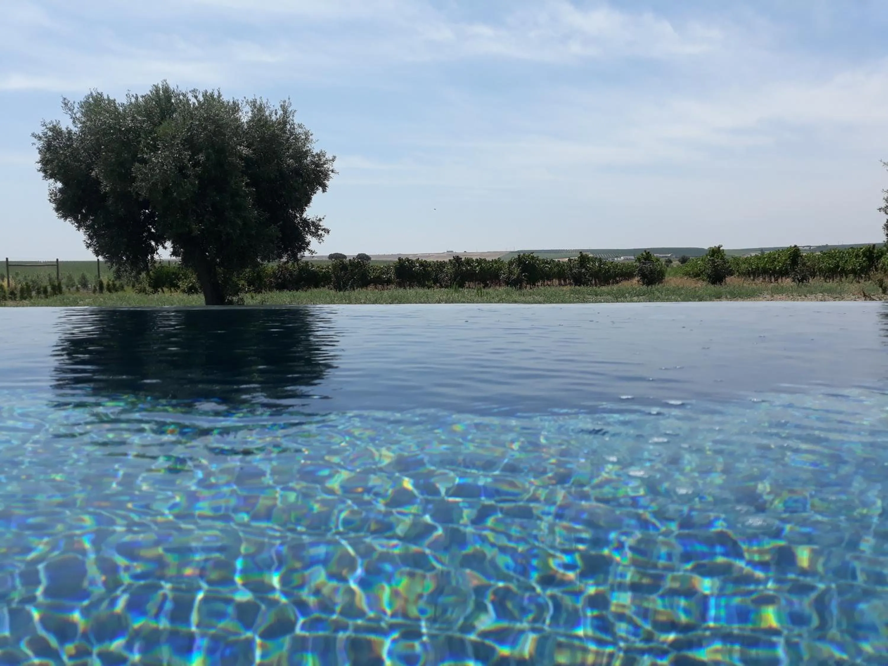 Terras - Agroturismo & Vinhos