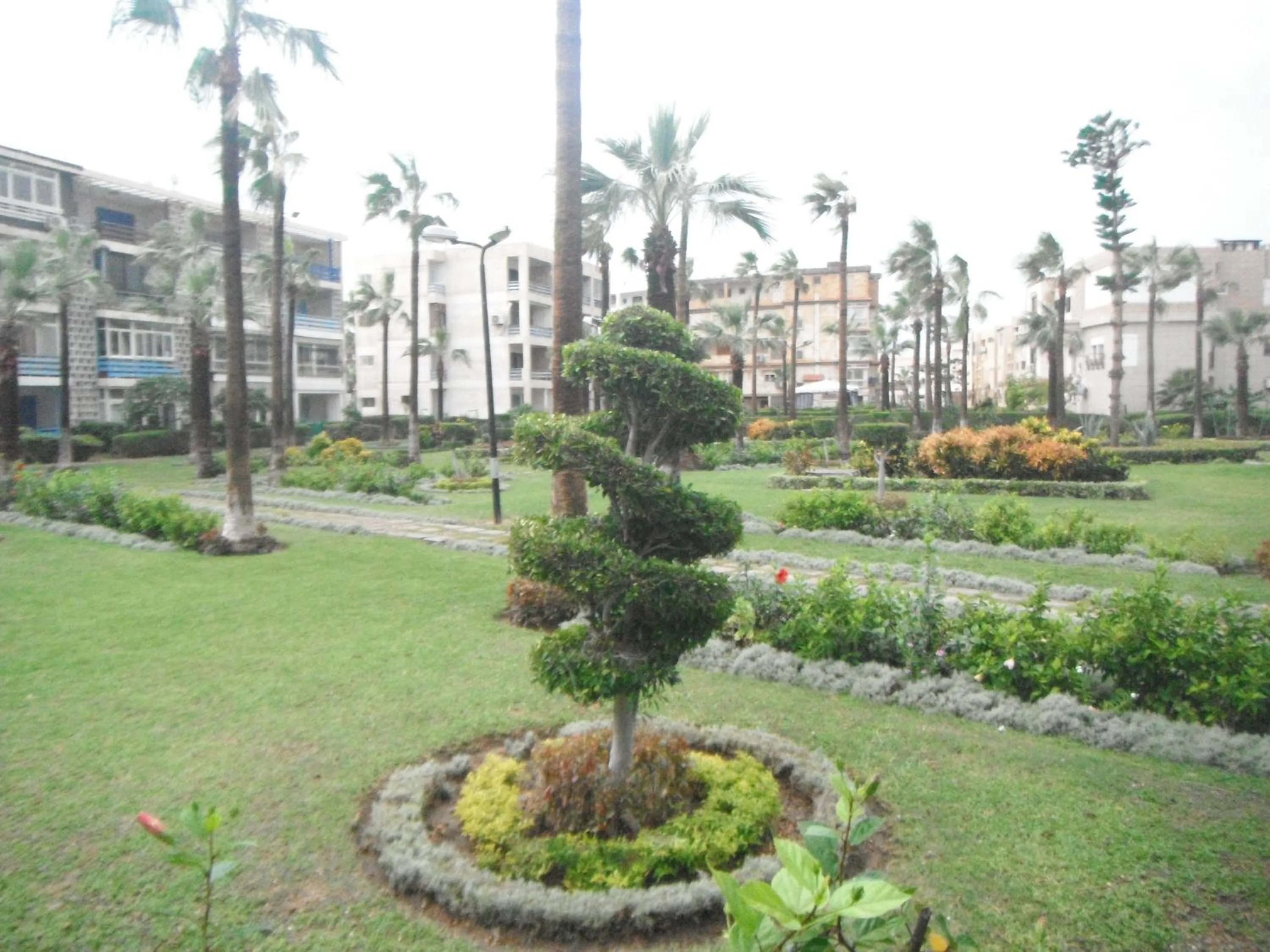 Garden in Maamoura Armed Forces Apartments