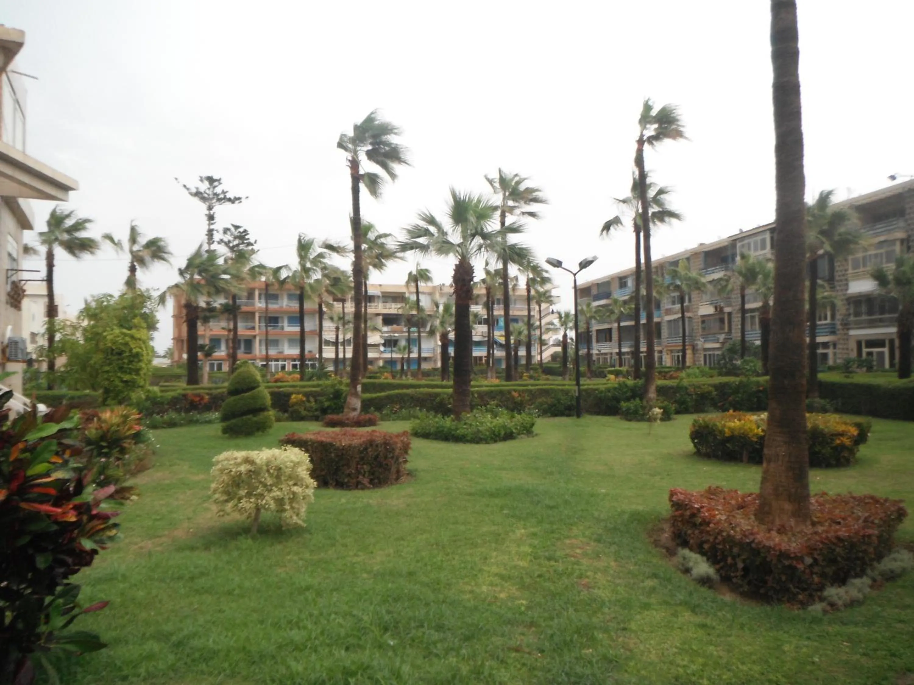 Garden in Maamoura Armed Forces Apartments