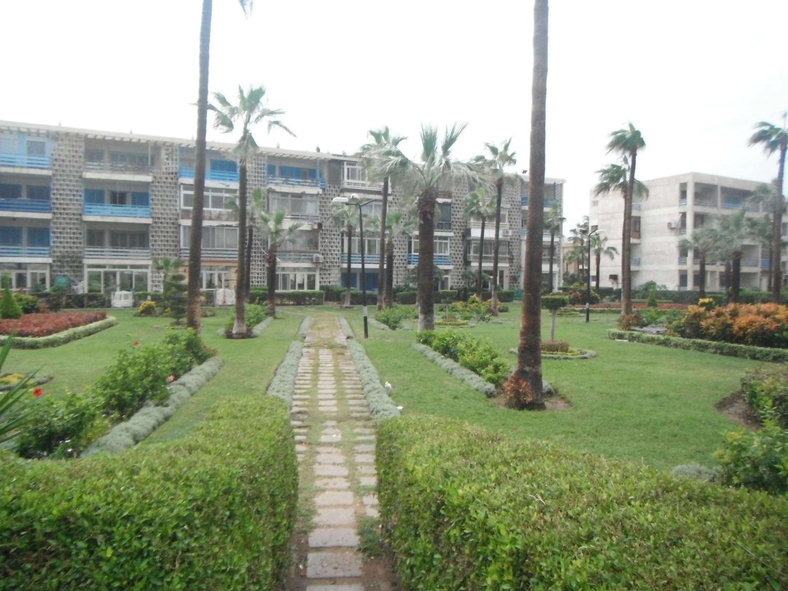 Garden in Maamoura Armed Forces Apartments