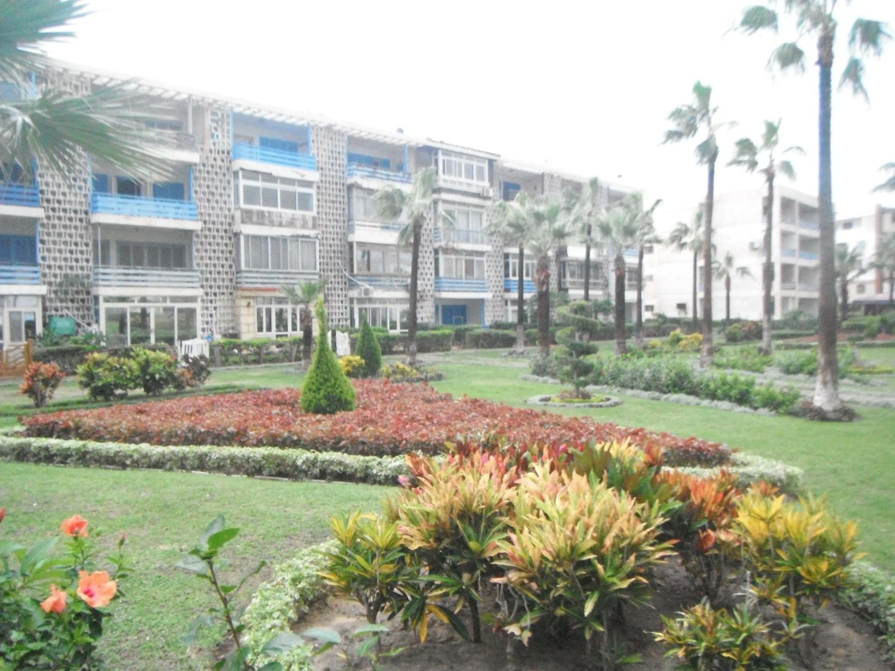 Garden in Maamoura Armed Forces Apartments