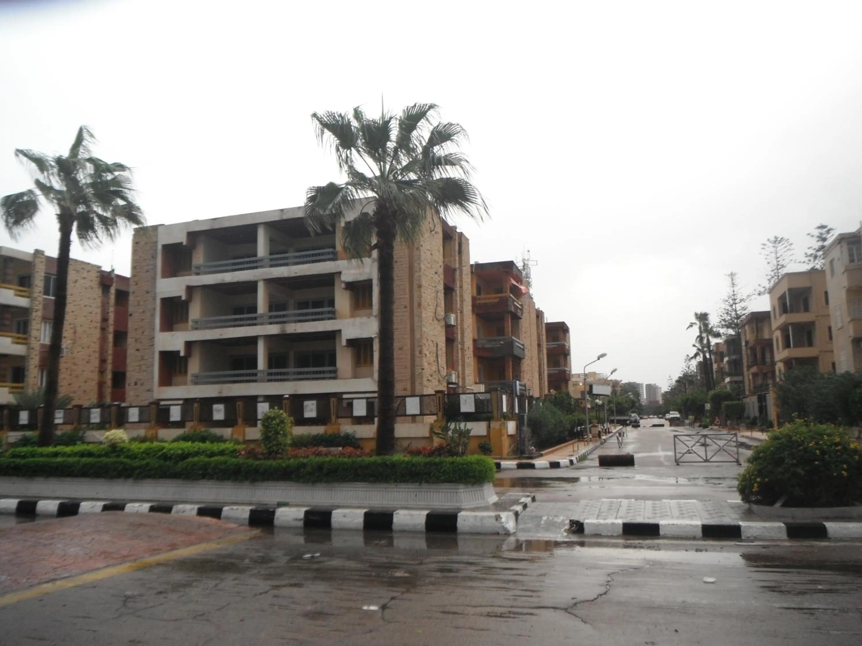 Other in Maamoura Armed Forces Apartments
