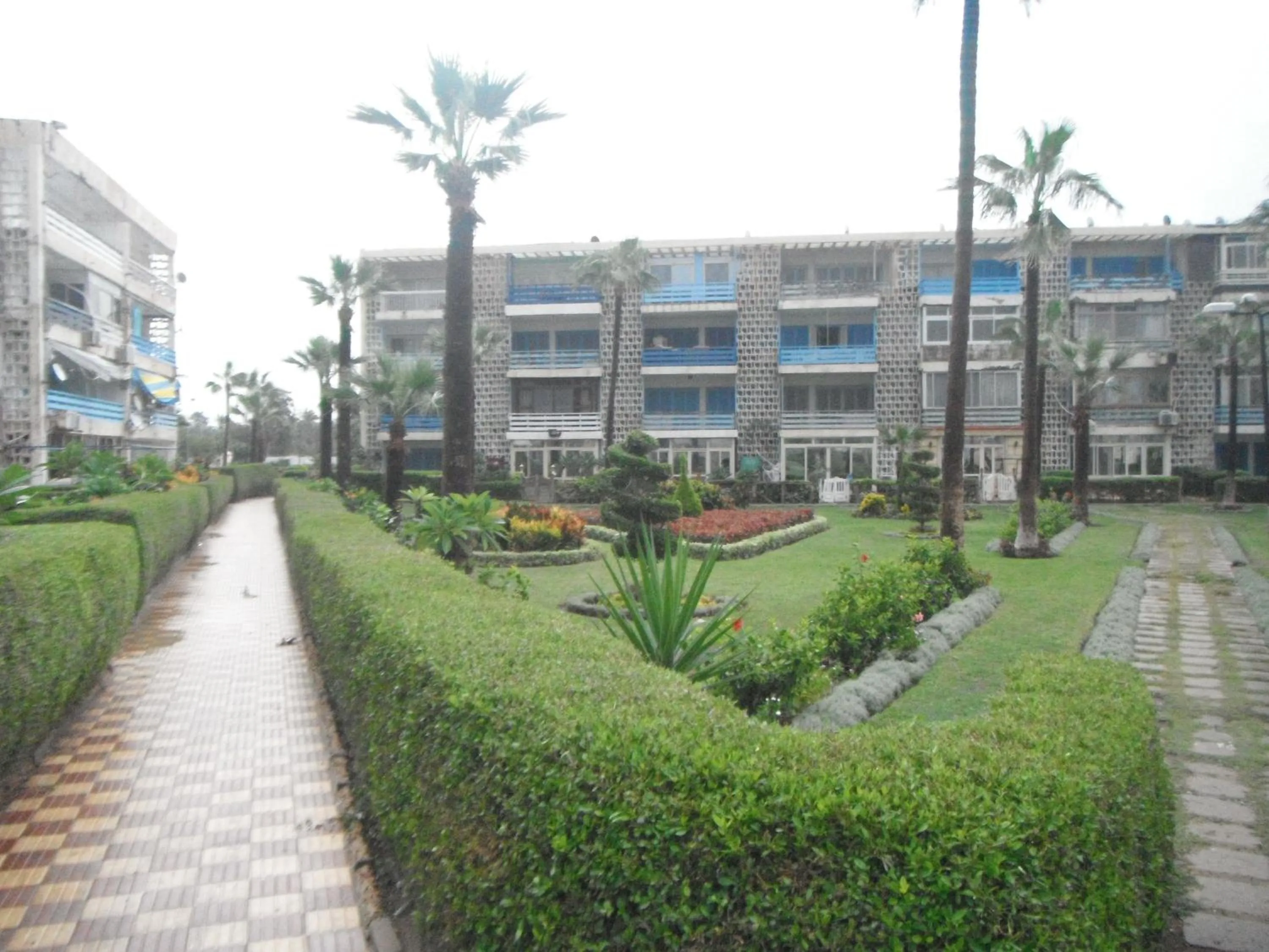 Garden in Maamoura Armed Forces Apartments