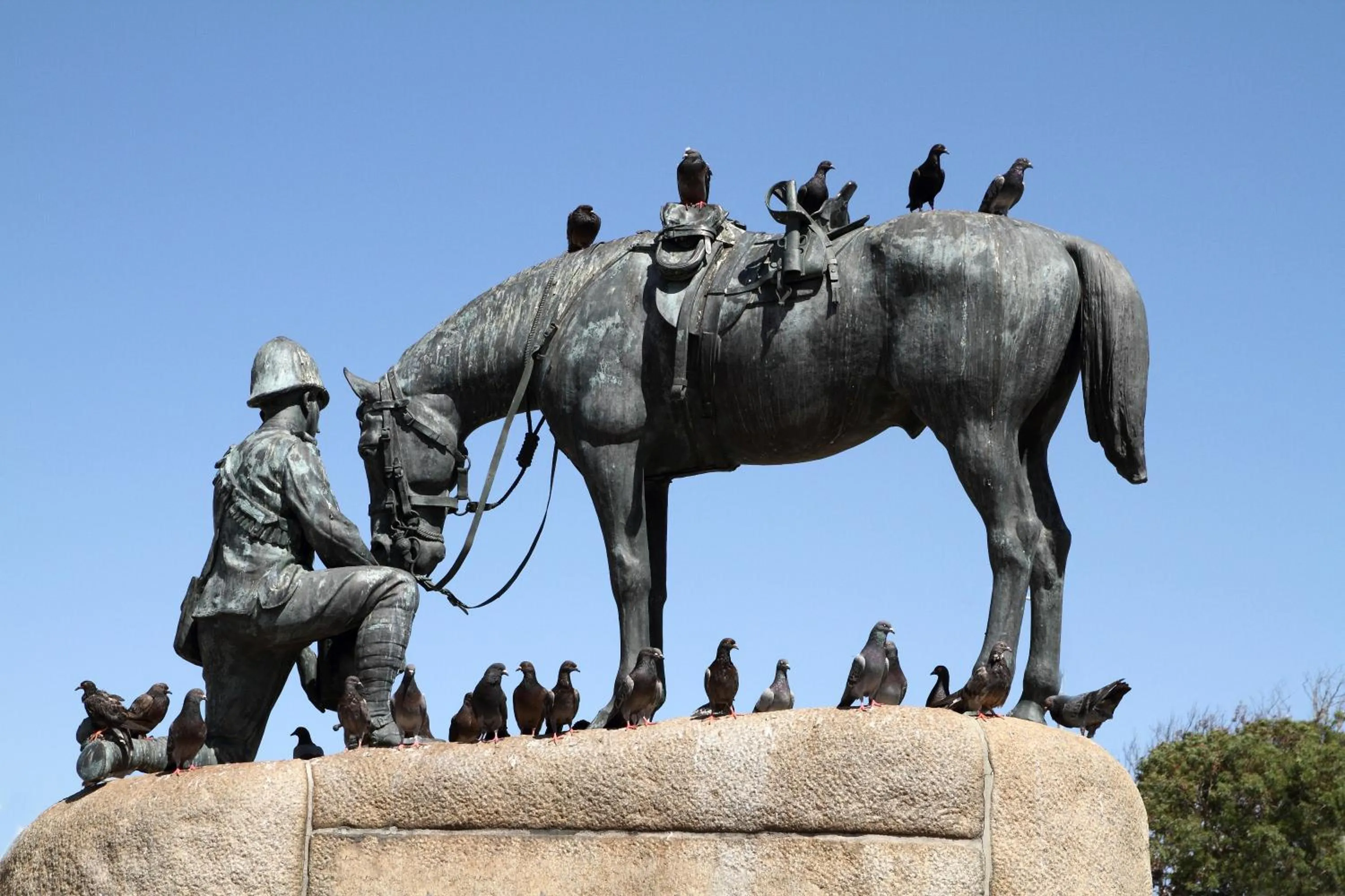 Property building in 10 on Cape Self Catering Apartments