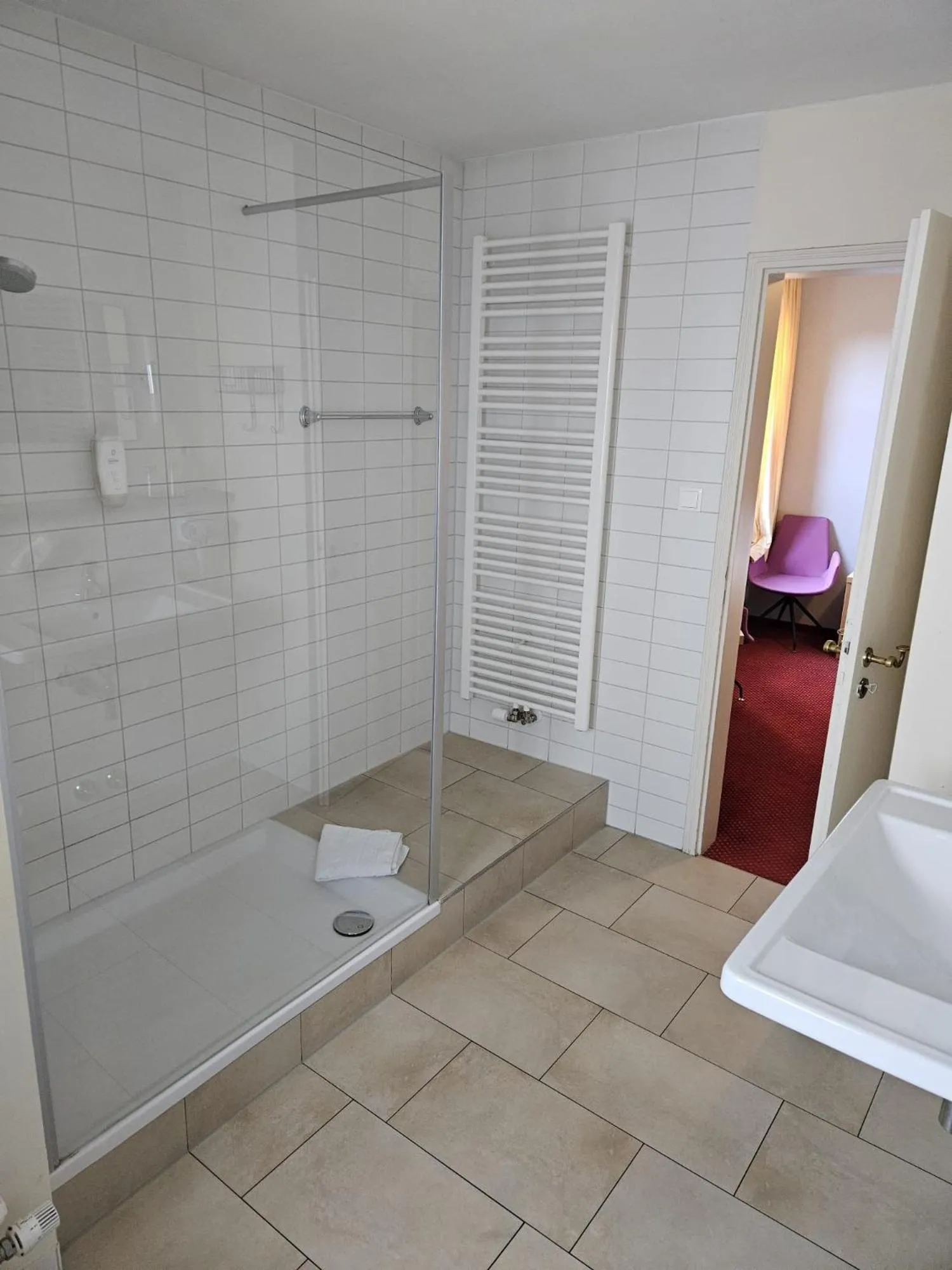 Double Room in Hotel Rose
