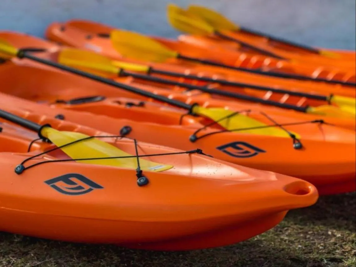 Beach in Amanzi Island Boutique Hotel