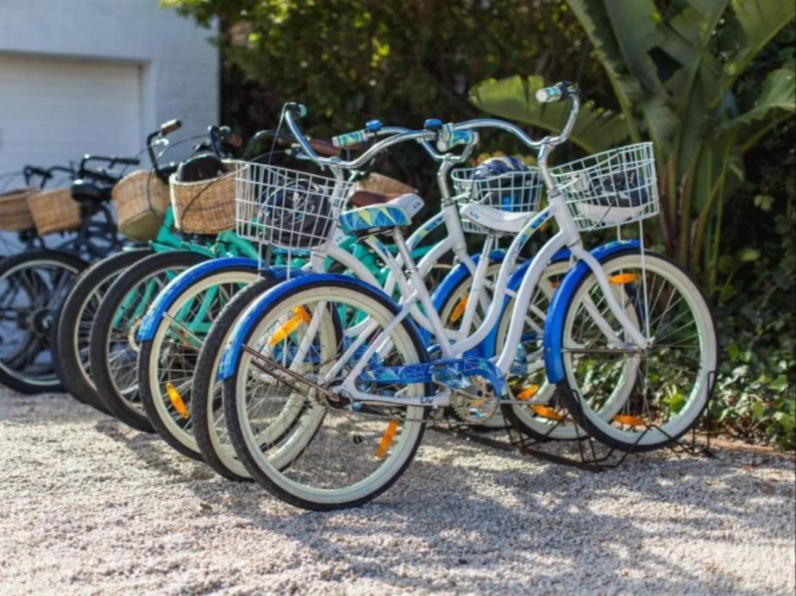 Garden in Amanzi Island Boutique Hotel