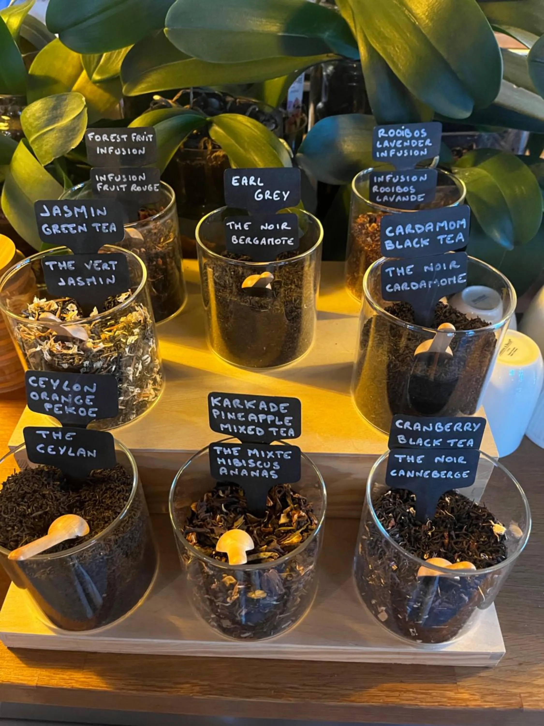 Coffee/tea facilities in Skylark Bed & Breakfast