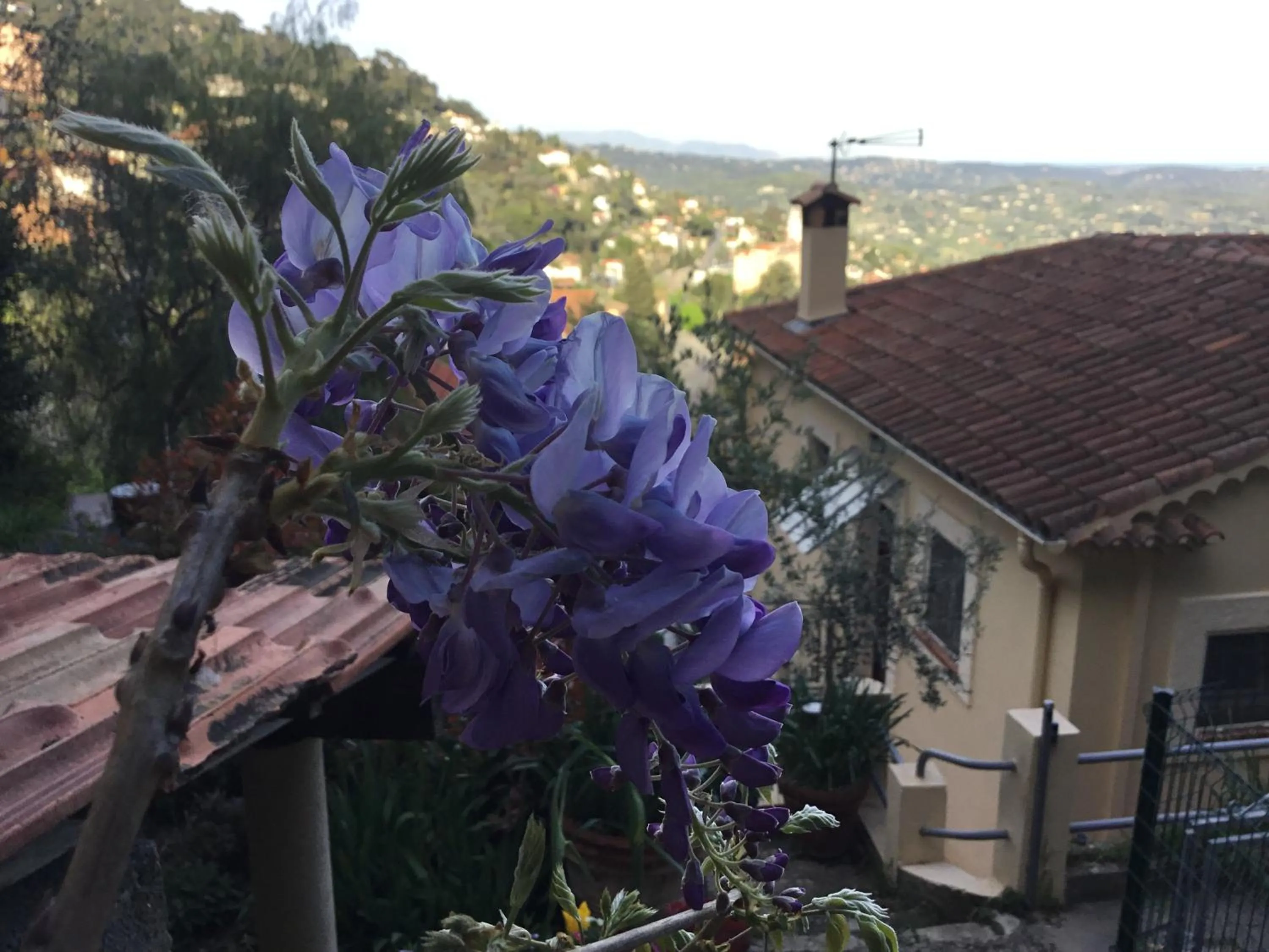 Property building in Skylark Bed & Breakfast