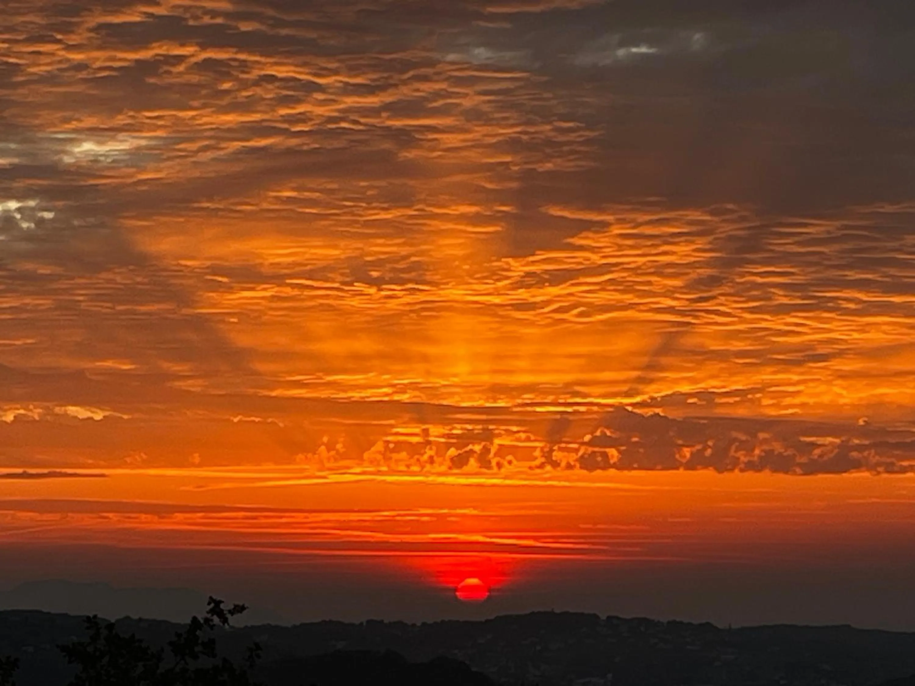 Sea view in Skylark Bed & Breakfast