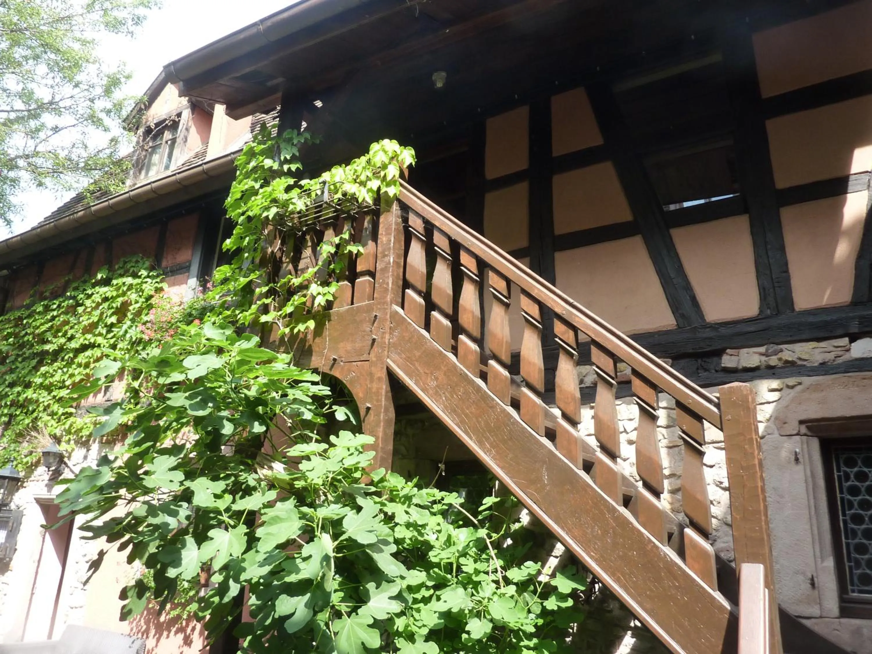 Chez Norbert
